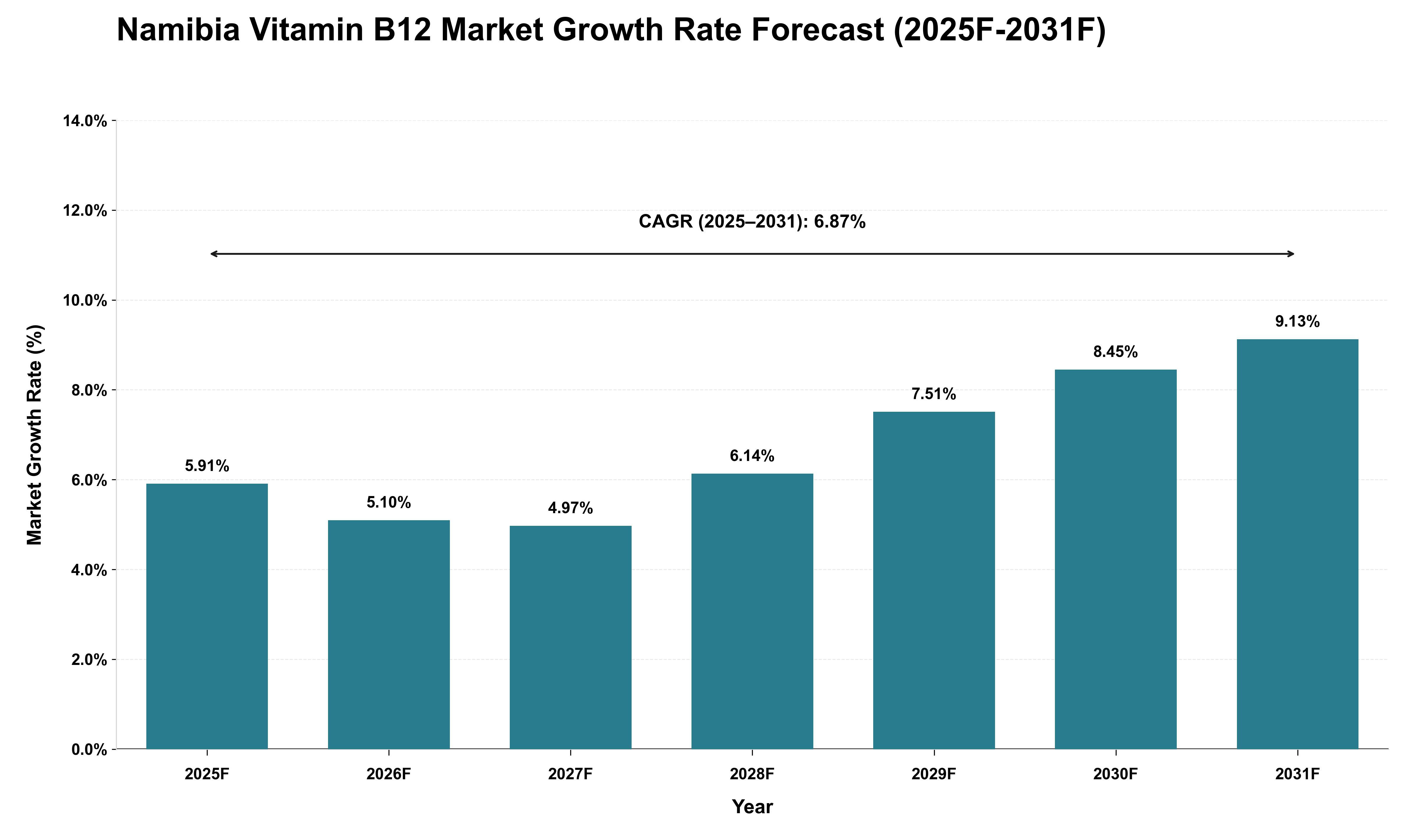 Namibia Vitamin B12 Market Growth Rate Analysis (2025 - 2031)