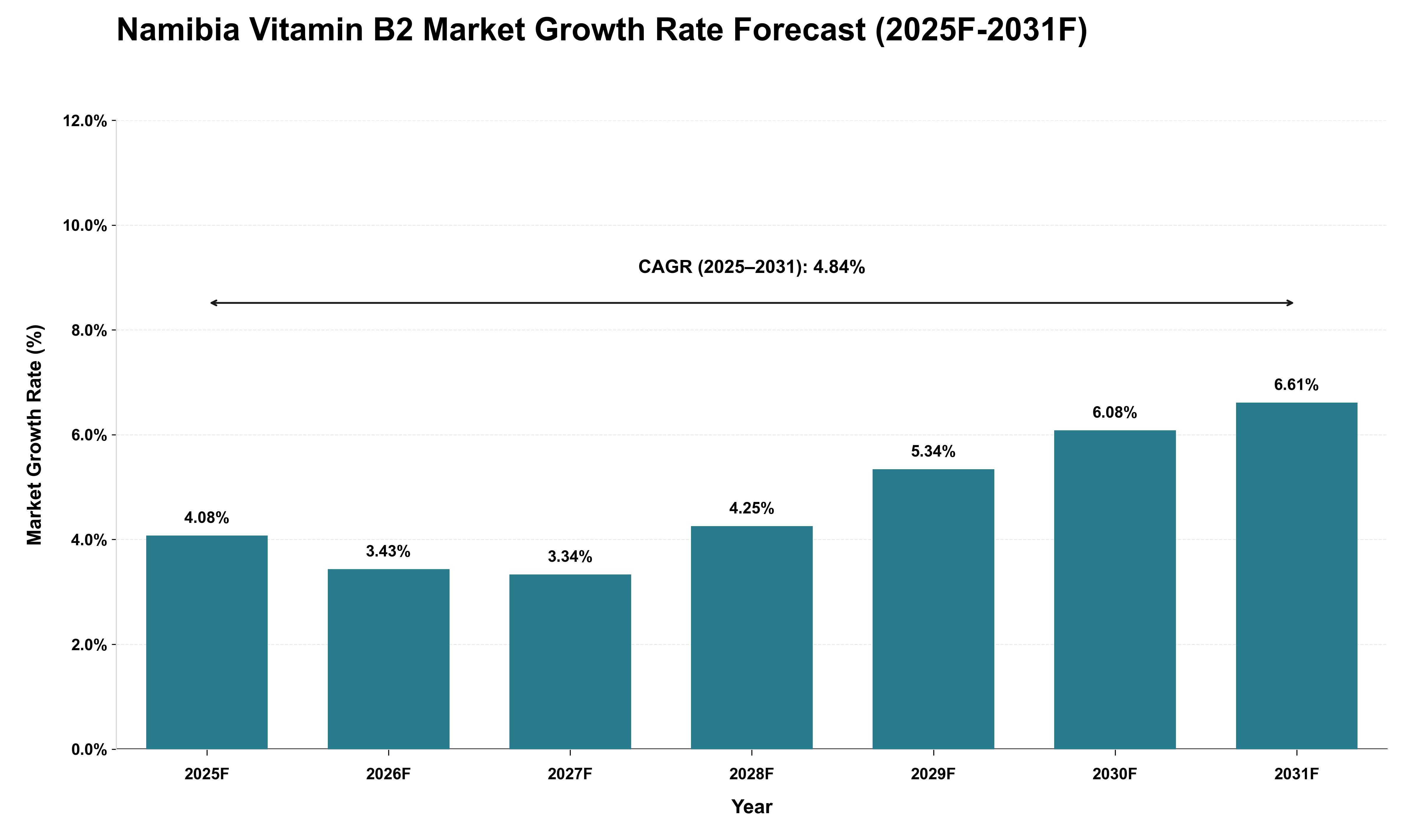 Namibia Vitamin B2 Market Growth Rate Analysis (2025 - 2031)