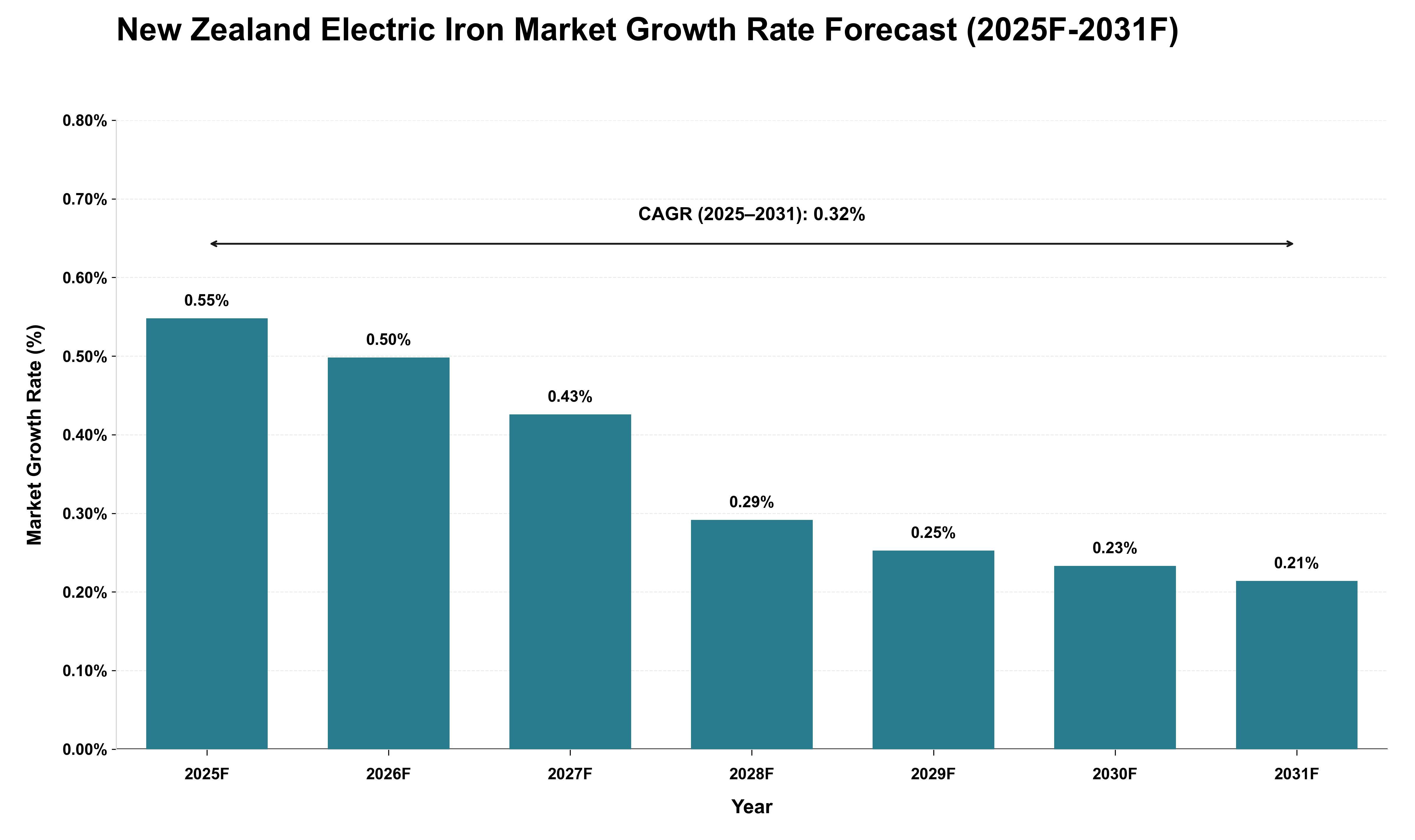 New Zealand Electric Iron Market Growth Rate Analysis (2025 - 2031)