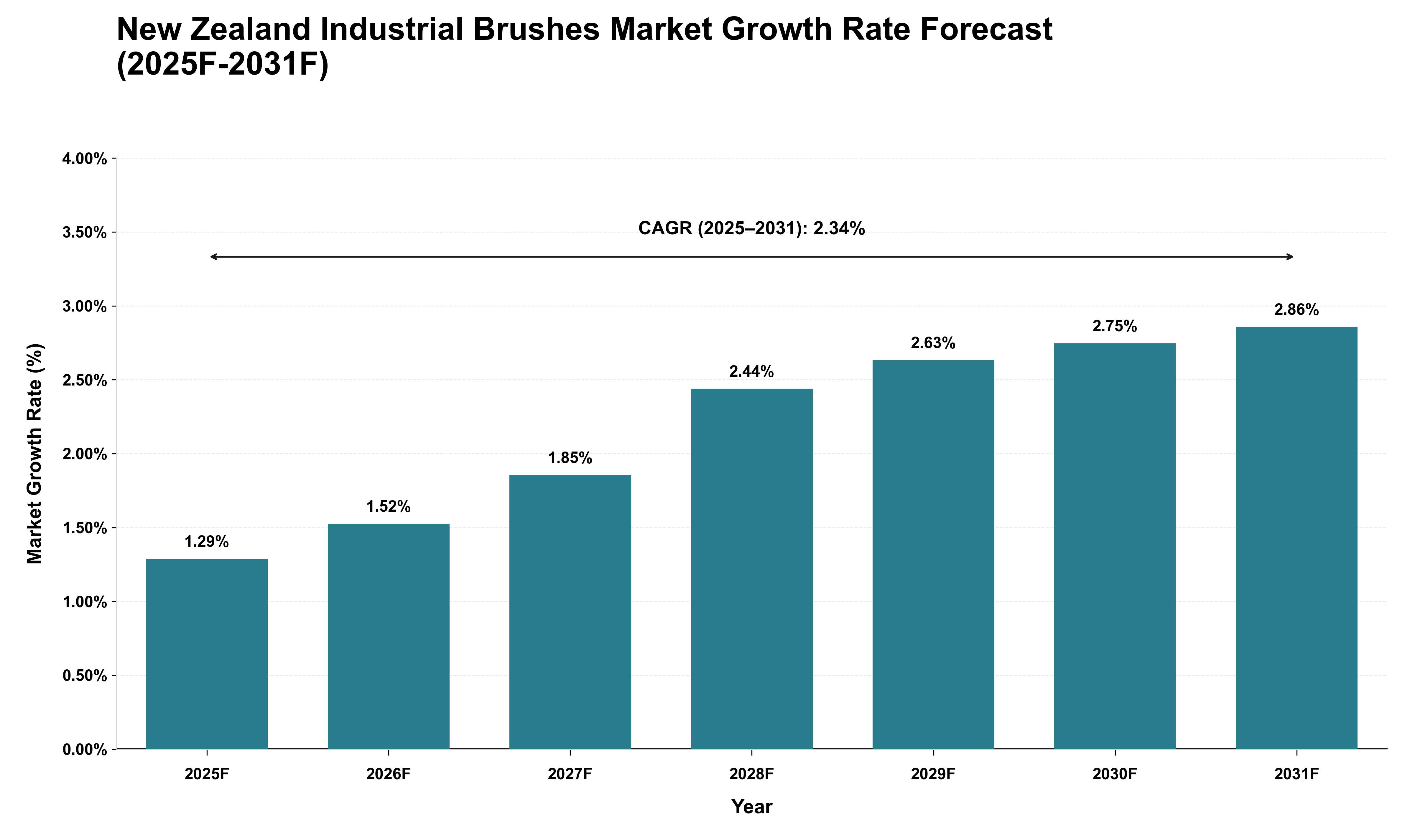 New Zealand Industrial Brushes Market Growth Rate Analysis (2025 - 2031)