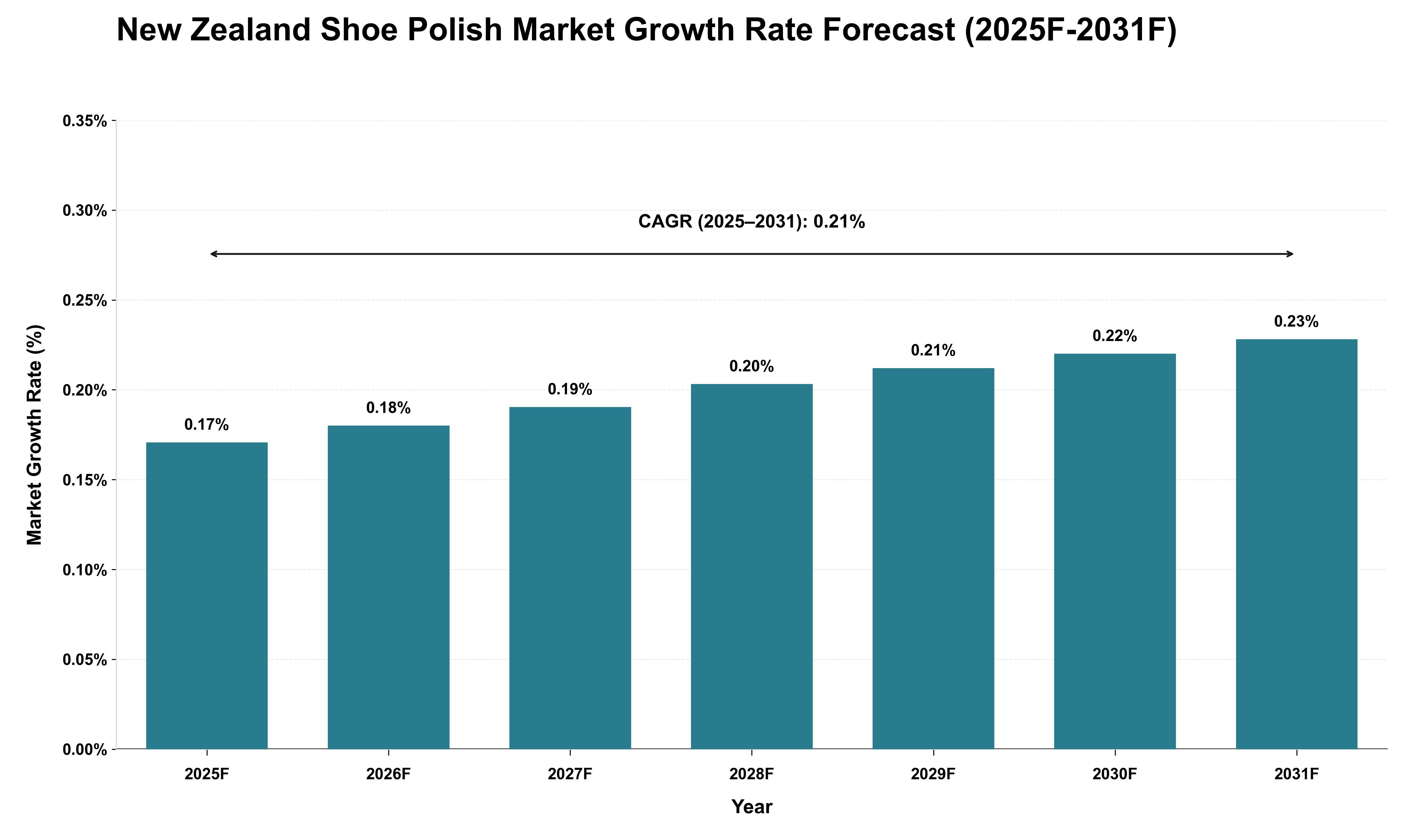 New Zealand Shoe Polish Market Growth Rate Analysis (2025 - 2031)