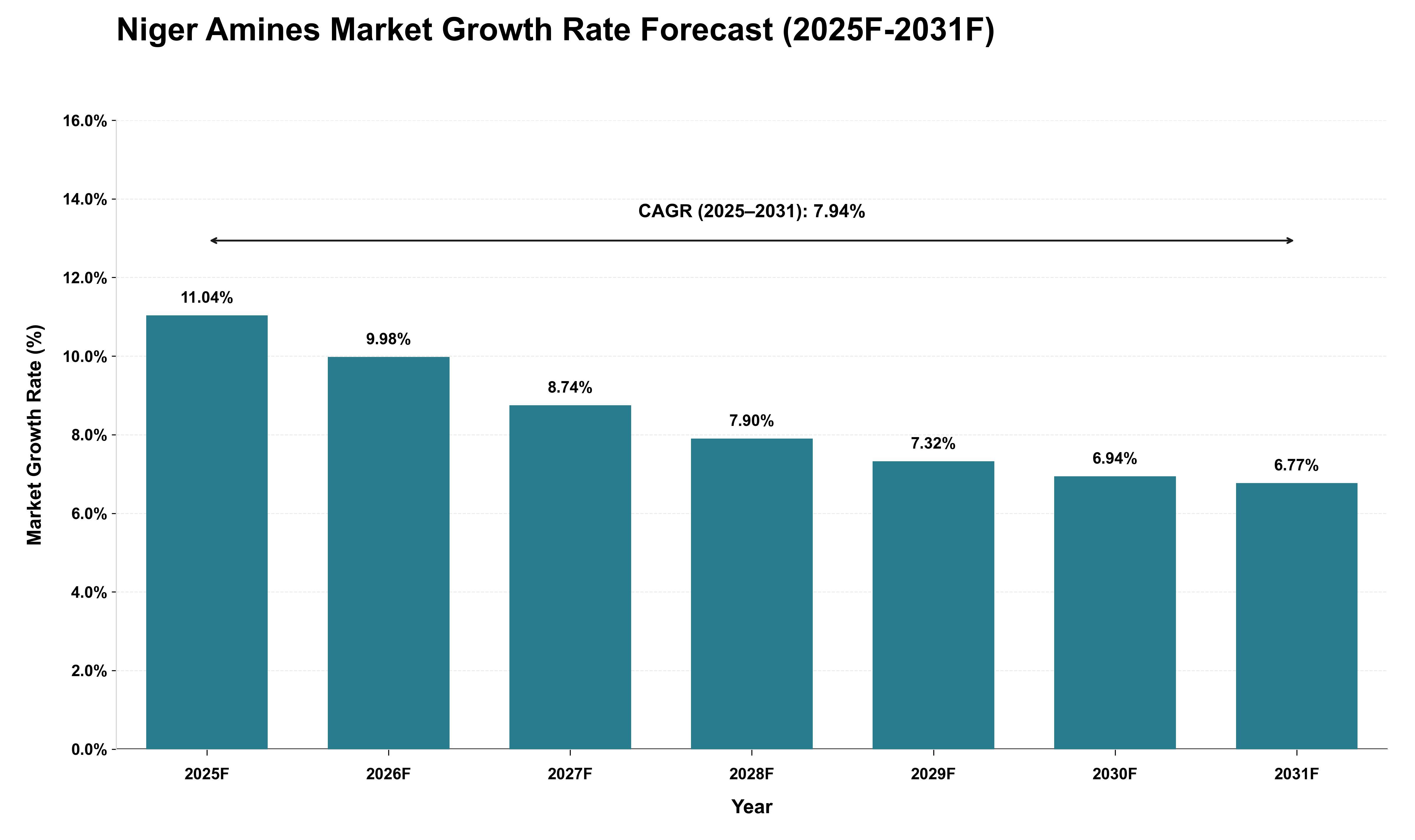 Niger Amines Market Growth Rate Analysis (2025 - 2031)