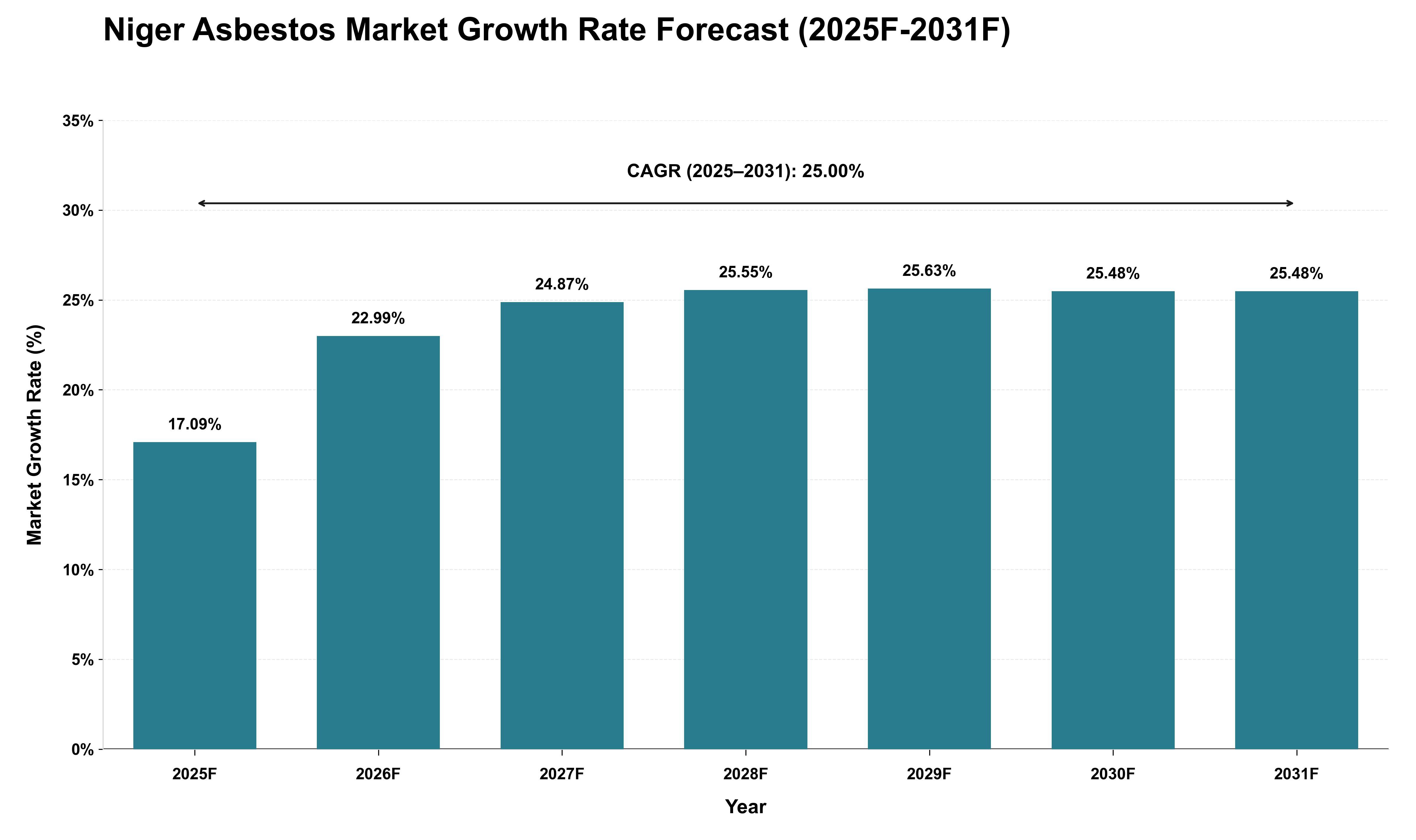 Niger Asbestos Market Growth Rate Analysis (2025 - 2031)