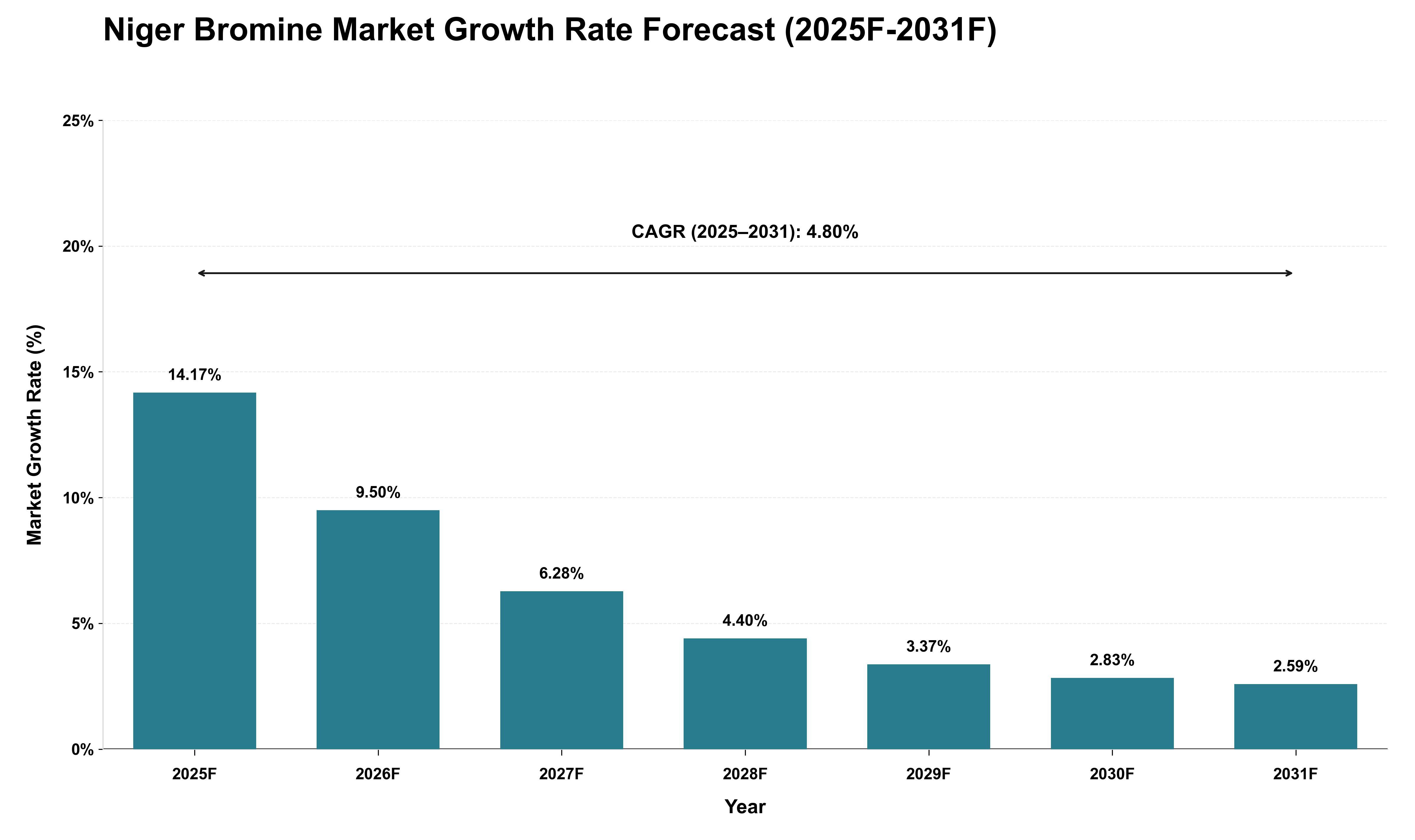 Niger Bromine Market Growth Rate Analysis (2025 - 2031)