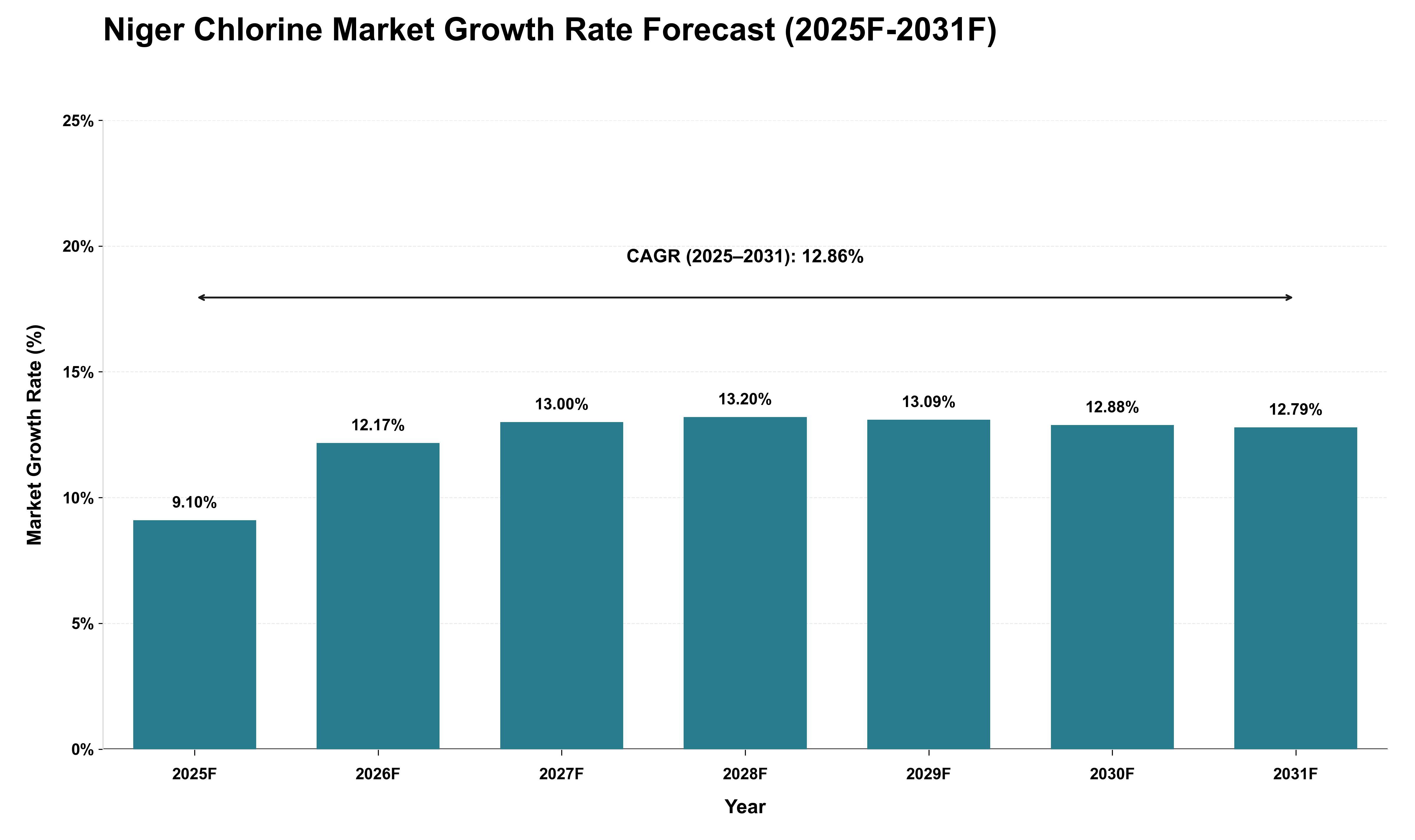 Niger Chlorine Market Growth Rate Analysis (2025 - 2031)