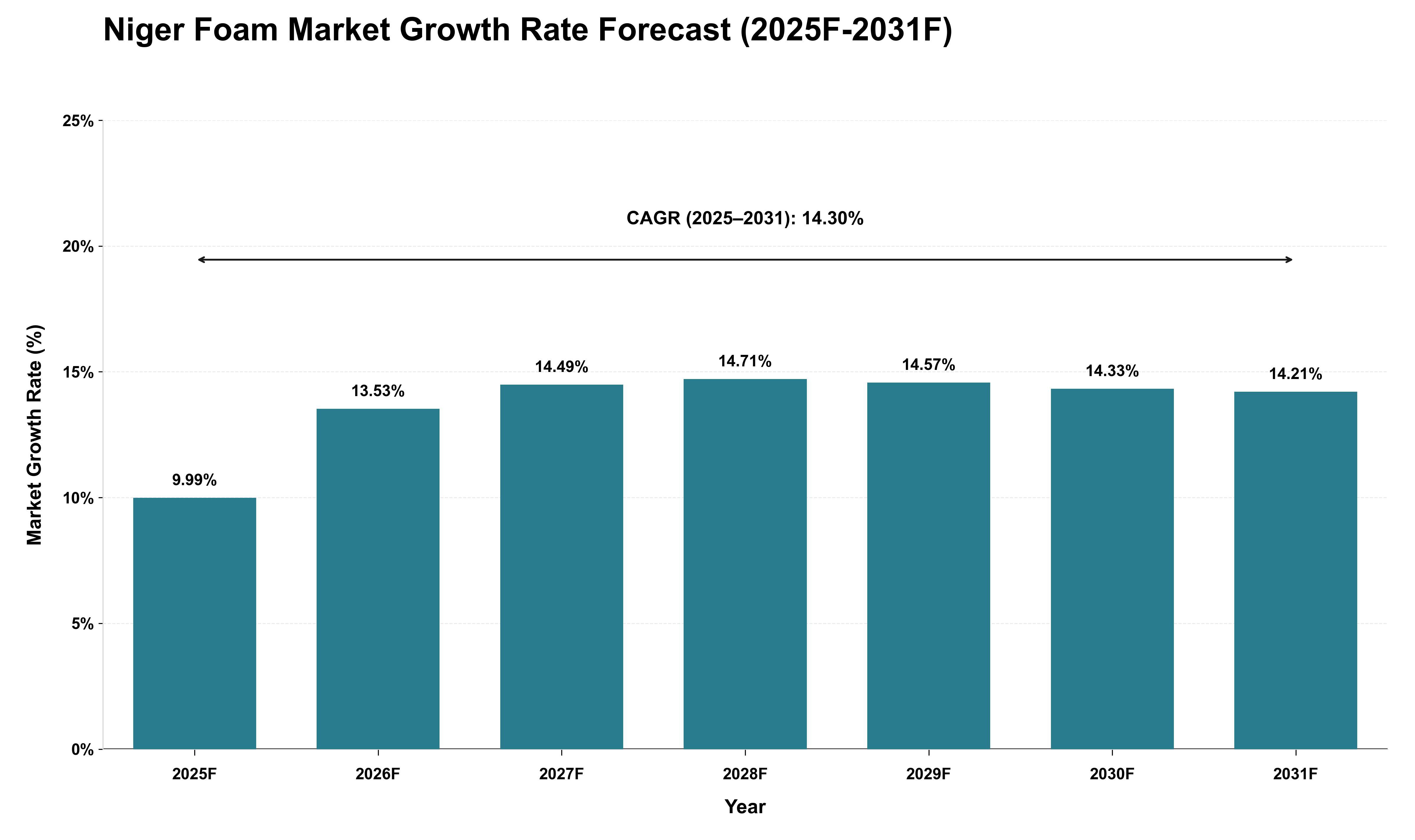 Niger Foam Market Growth Rate Analysis (2025 - 2031)