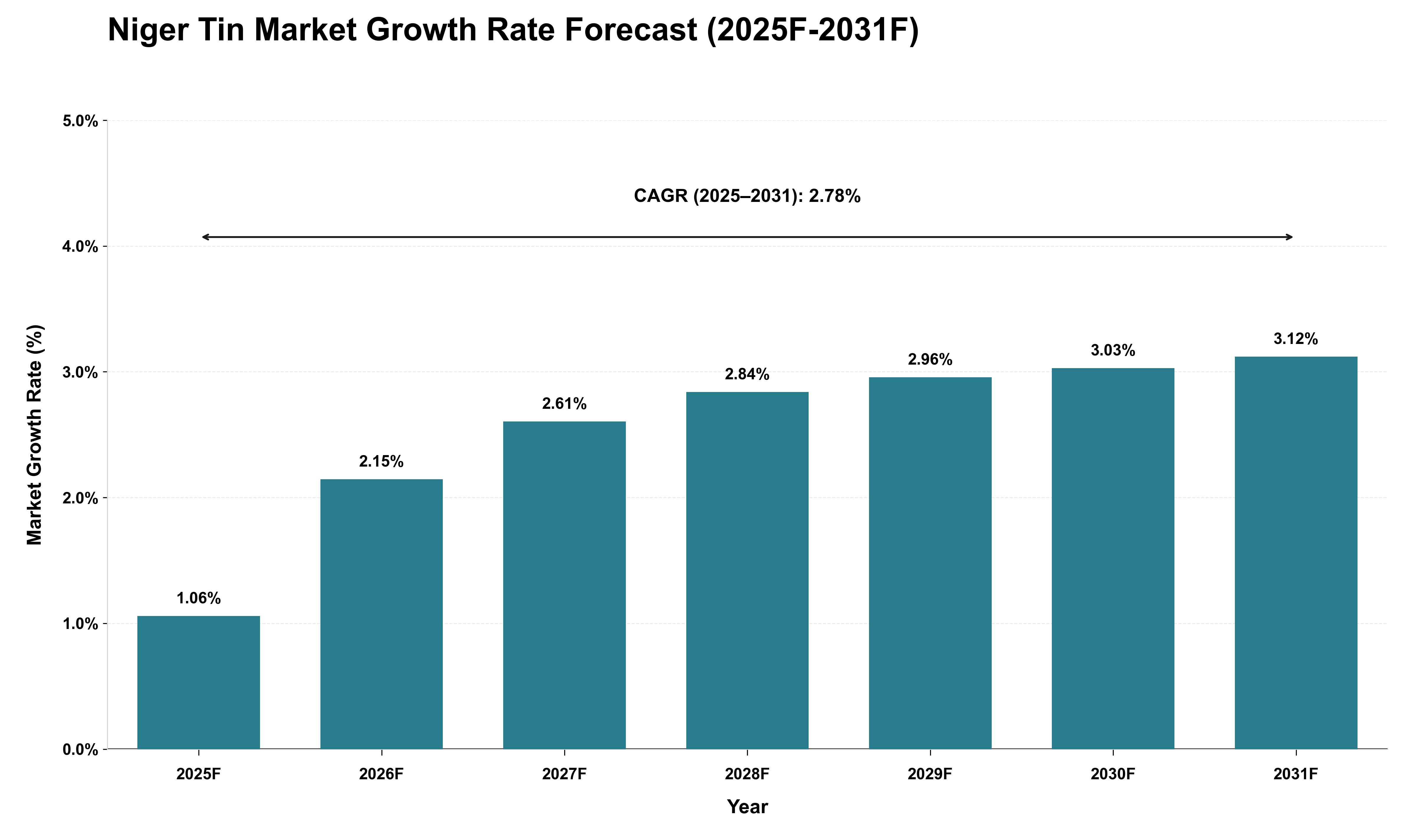 Niger Tin Market Growth Rate Analysis (2025 - 2031)