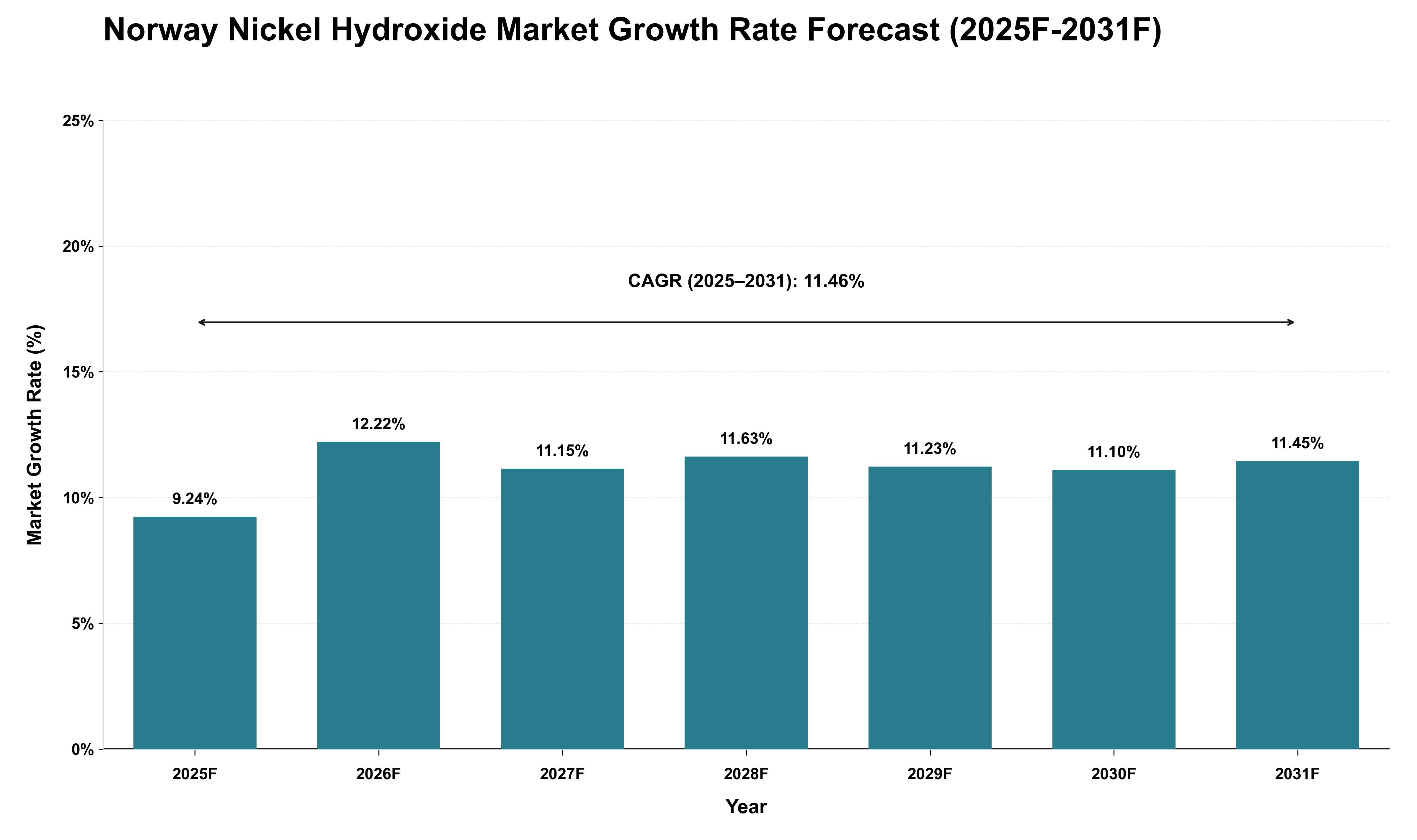 Norway Nickel Hydroxide Market Growth Rate Analysis (2025 - 2031)