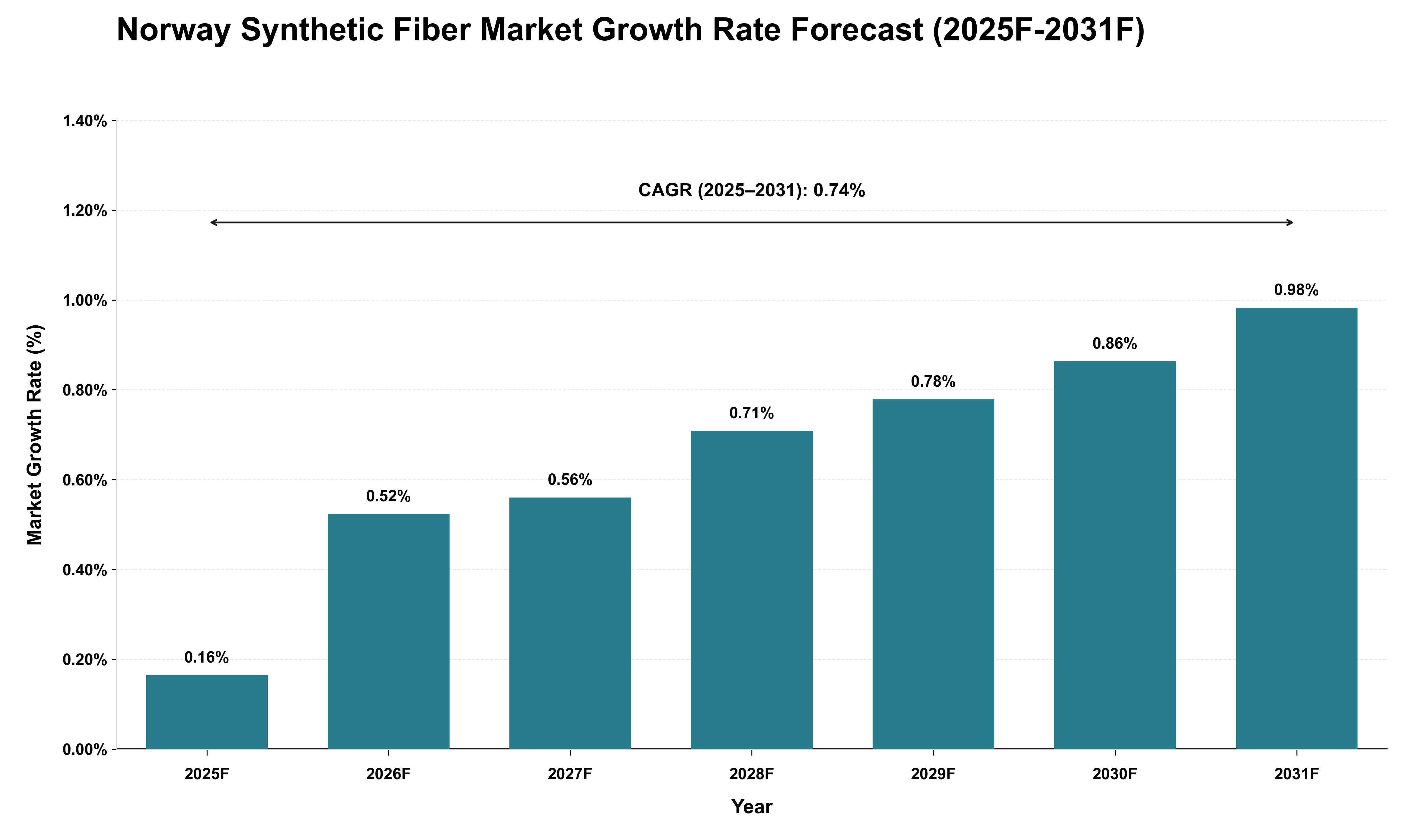 Norway Synthetic Fiber Market Growth Rate Analysis (2025 - 2031)