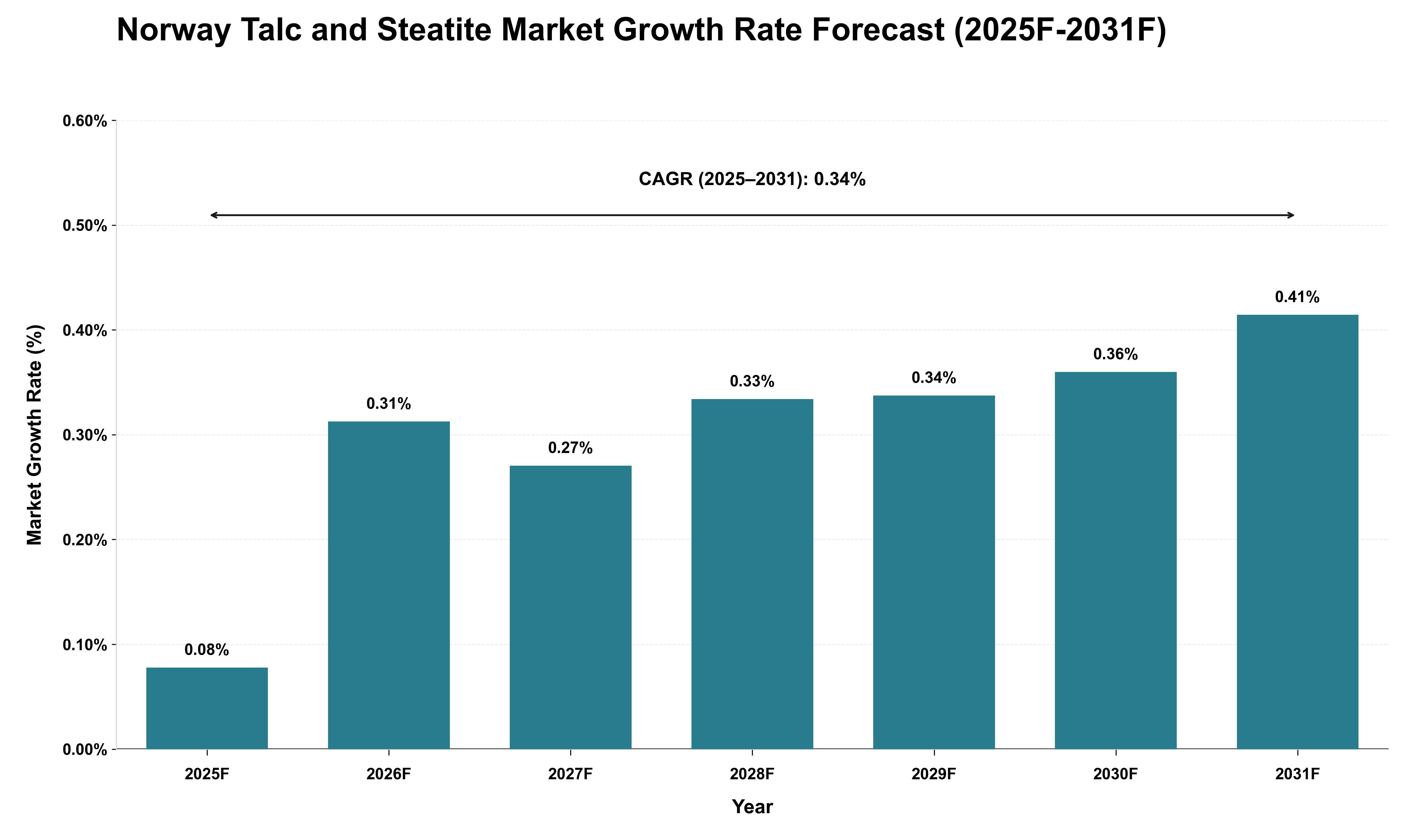 Norway Talc and Steatite Market Growth Rate Analysis (2025 - 2031)