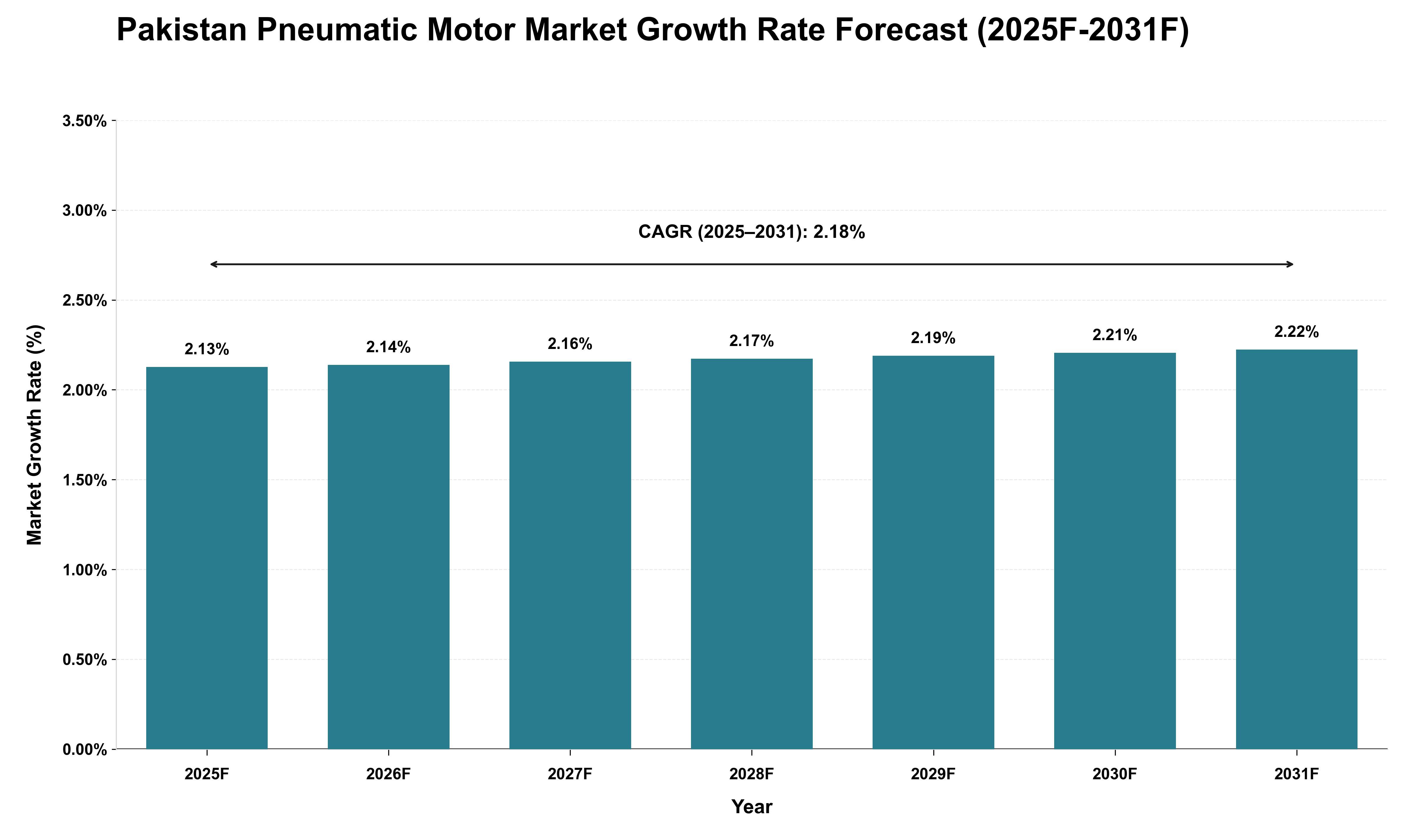 Pakistan Pneumatic Motor Market Growth Rate Analysis (2025 - 2031)