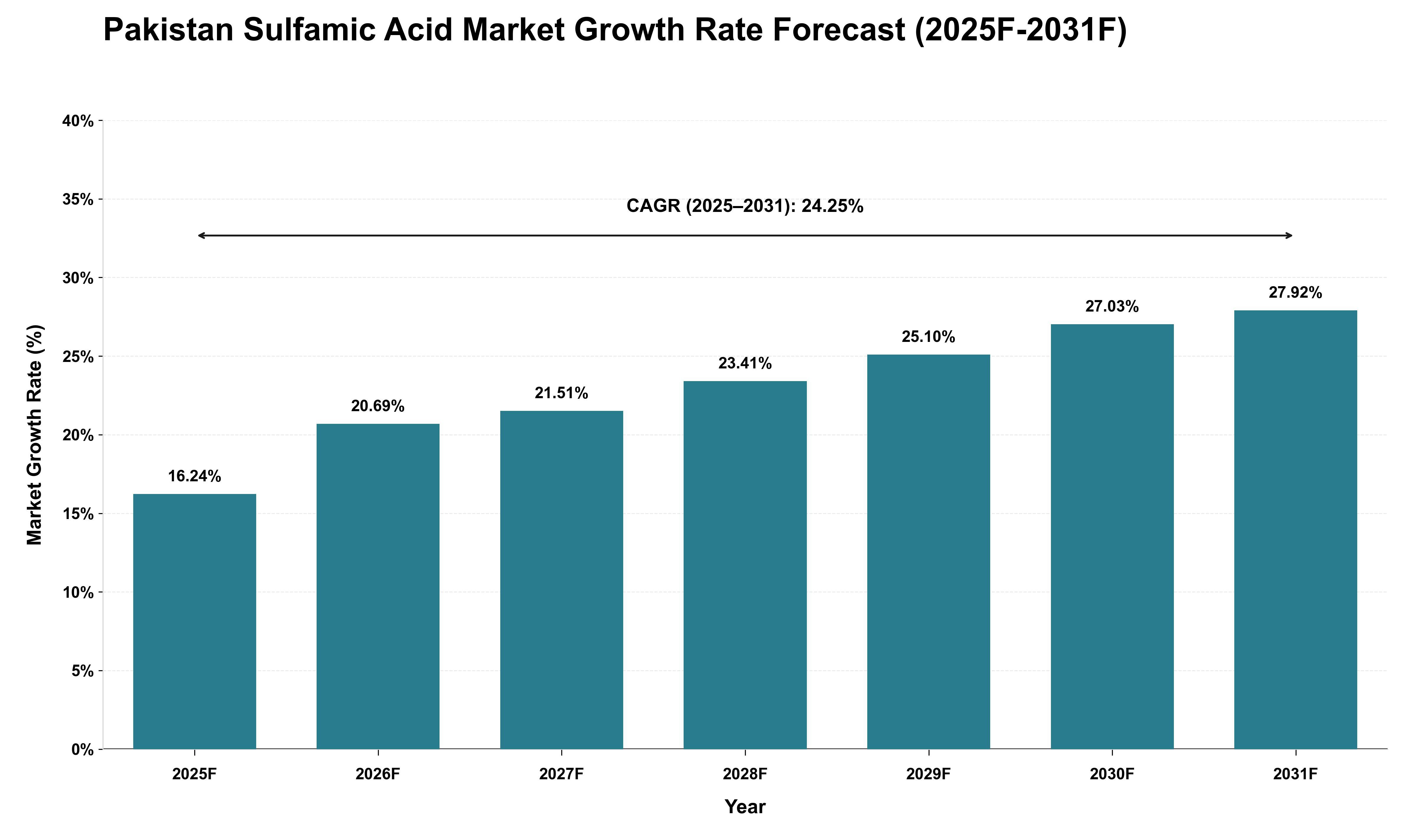 Pakistan Sulfamic Acid Market Growth Rate Analysis (2025 - 2031)