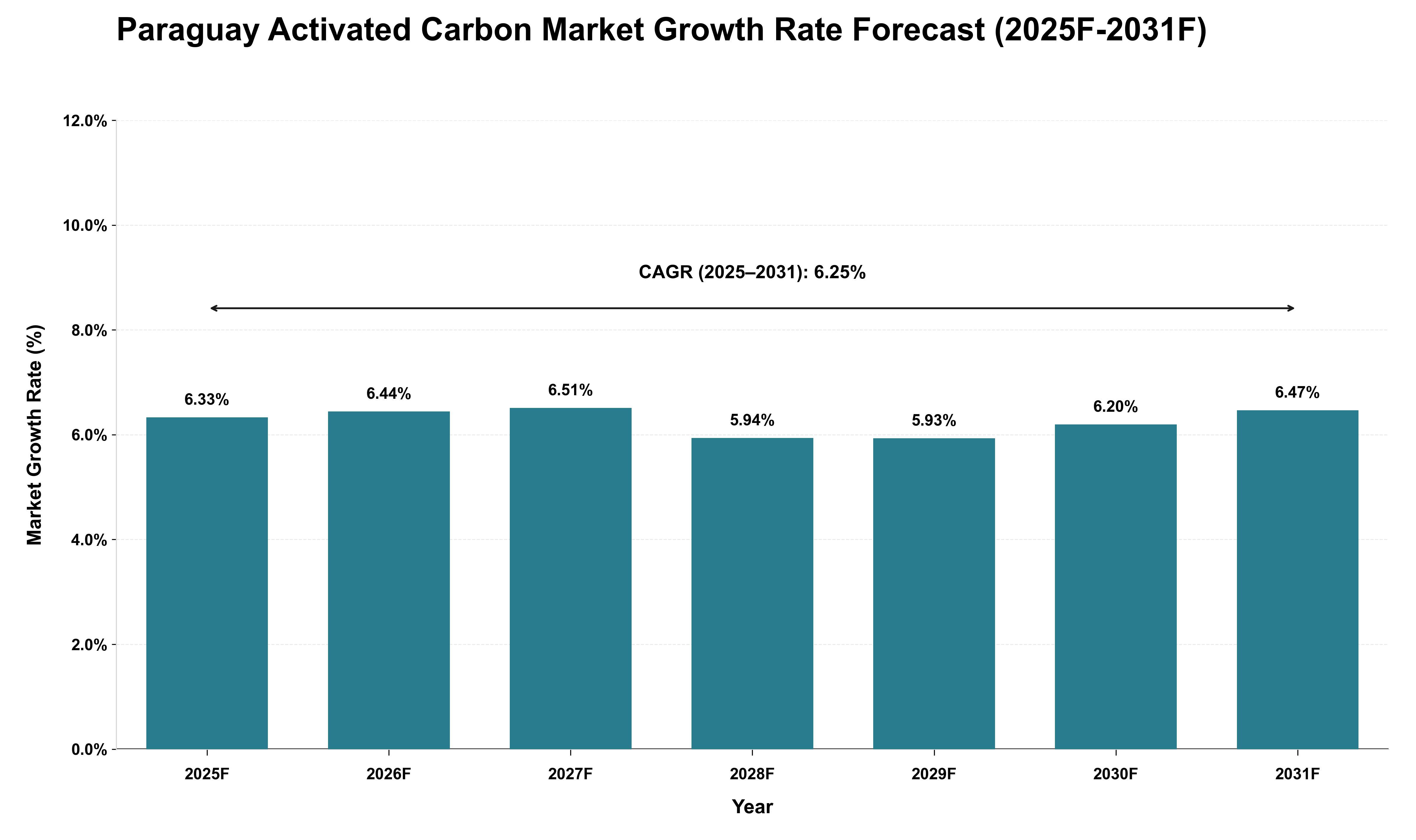 Paraguay Activated Carbon Market Growth Rate Analysis (2025 - 2031)