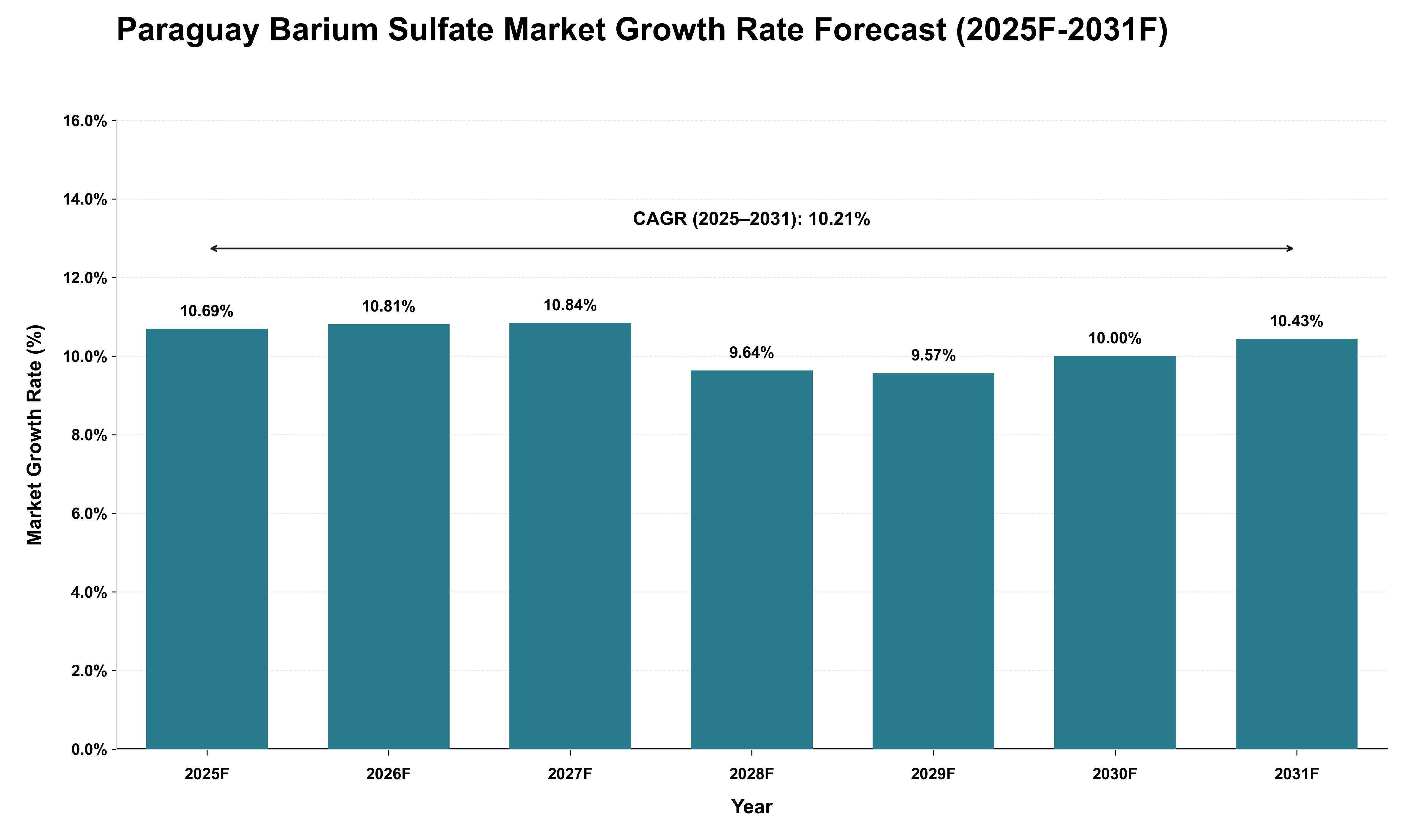 Paraguay Barium Sulfate Market Growth Rate Analysis (2025 - 2031)