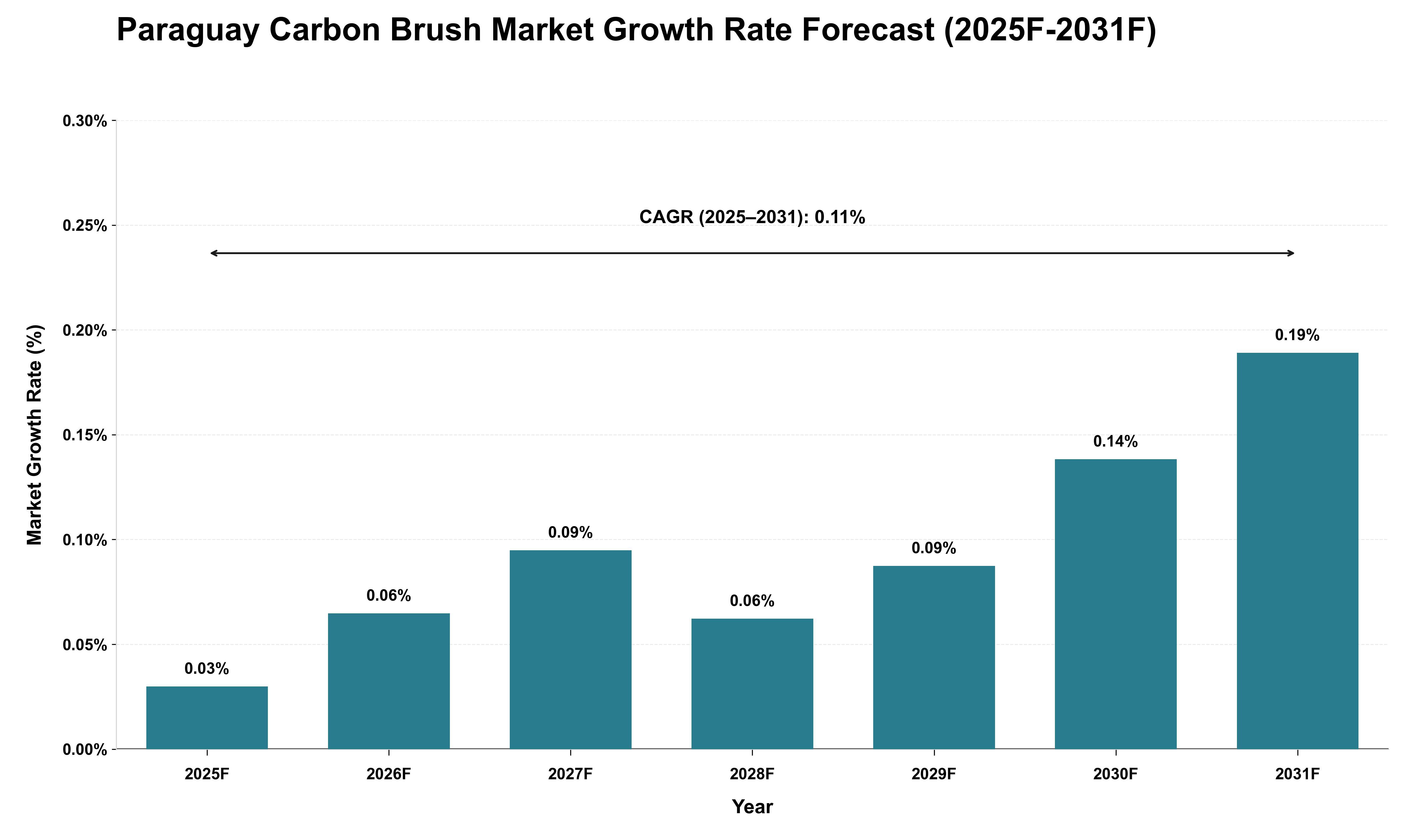 Paraguay Carbon Brush Market Growth Rate Analysis (2025 - 2031)