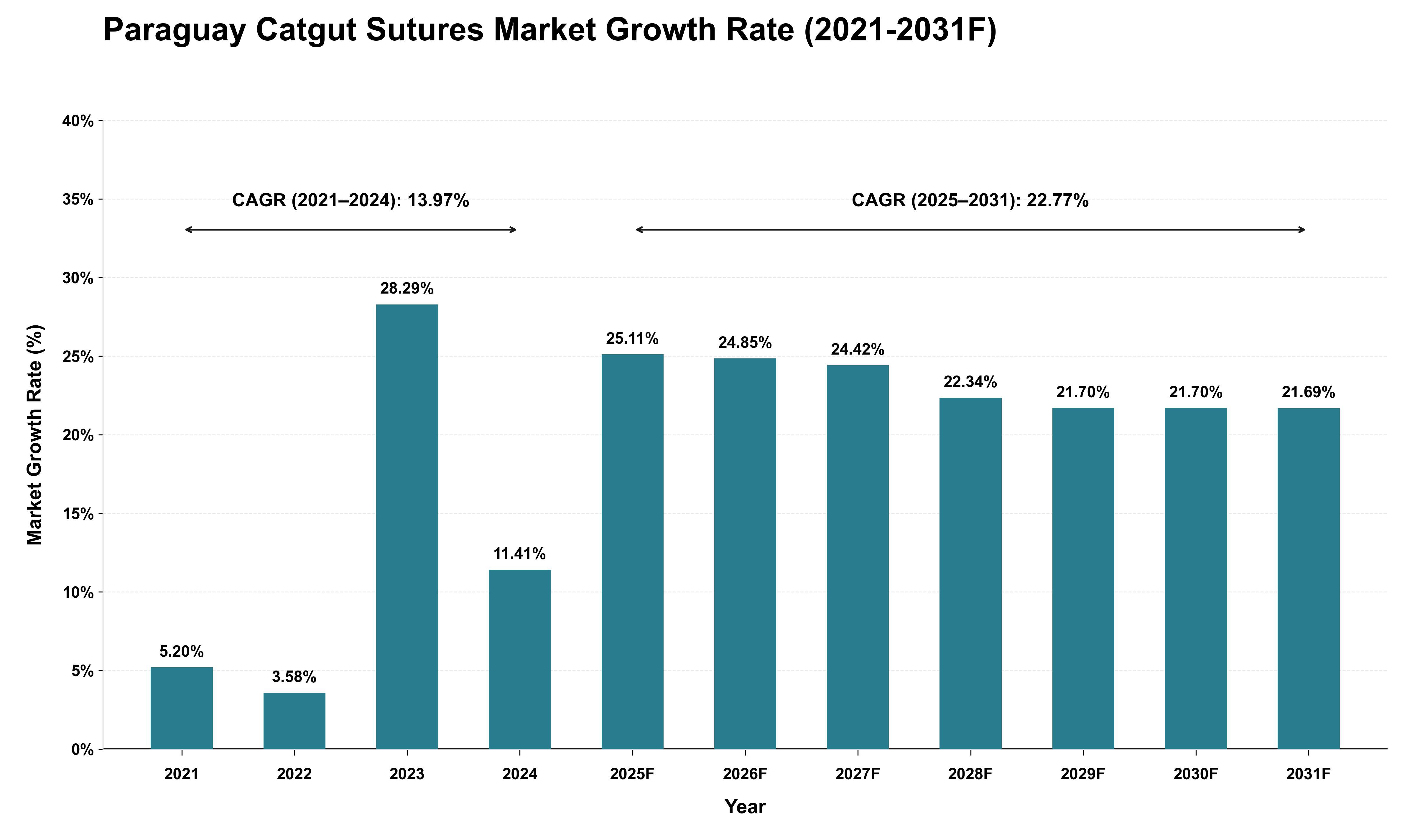 Paraguay Catgut Sutures Market Growth Rate Analysis (2021 - 2031)