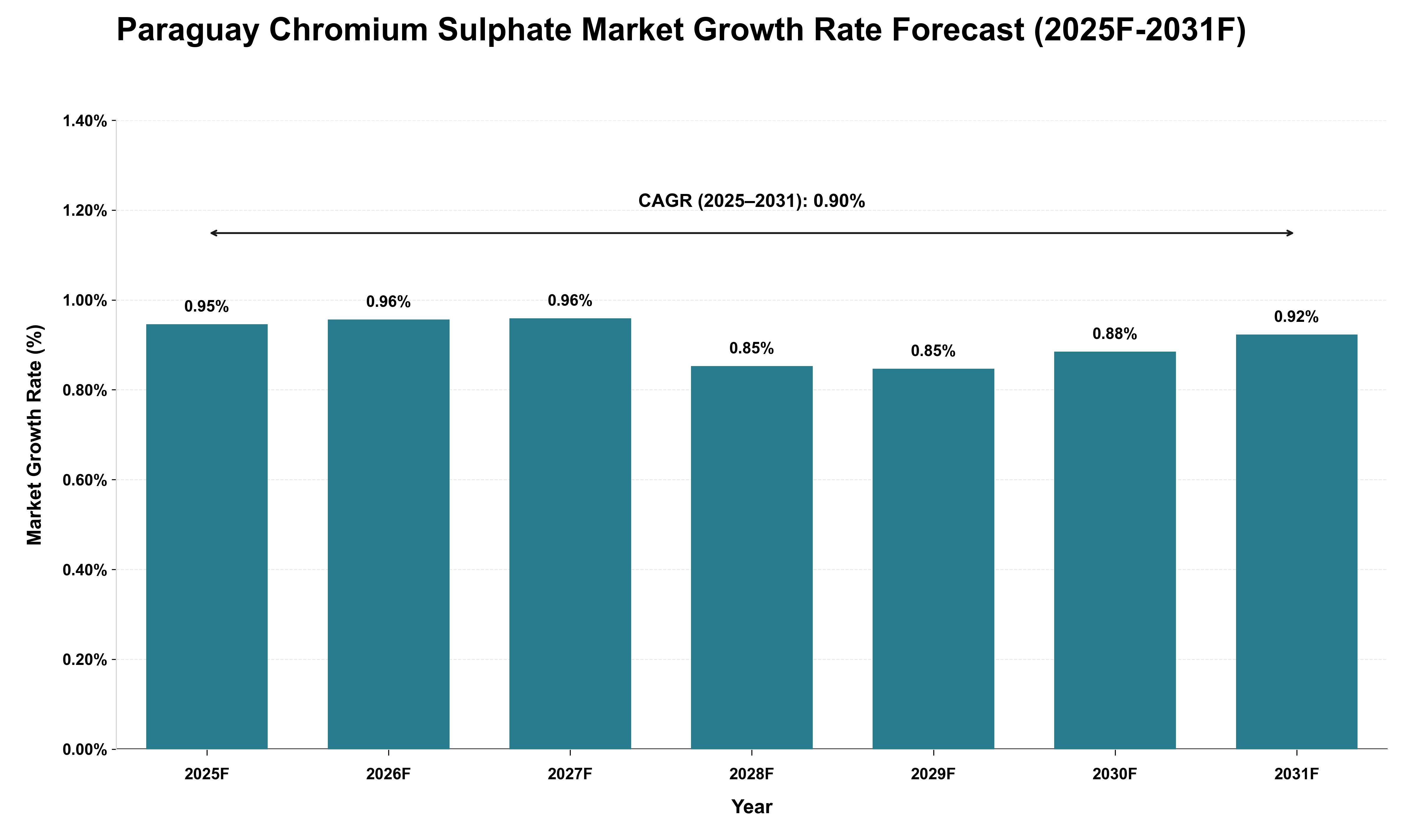 Paraguay Chromium Sulphate Market Growth Rate Analysis (2025 - 2031)