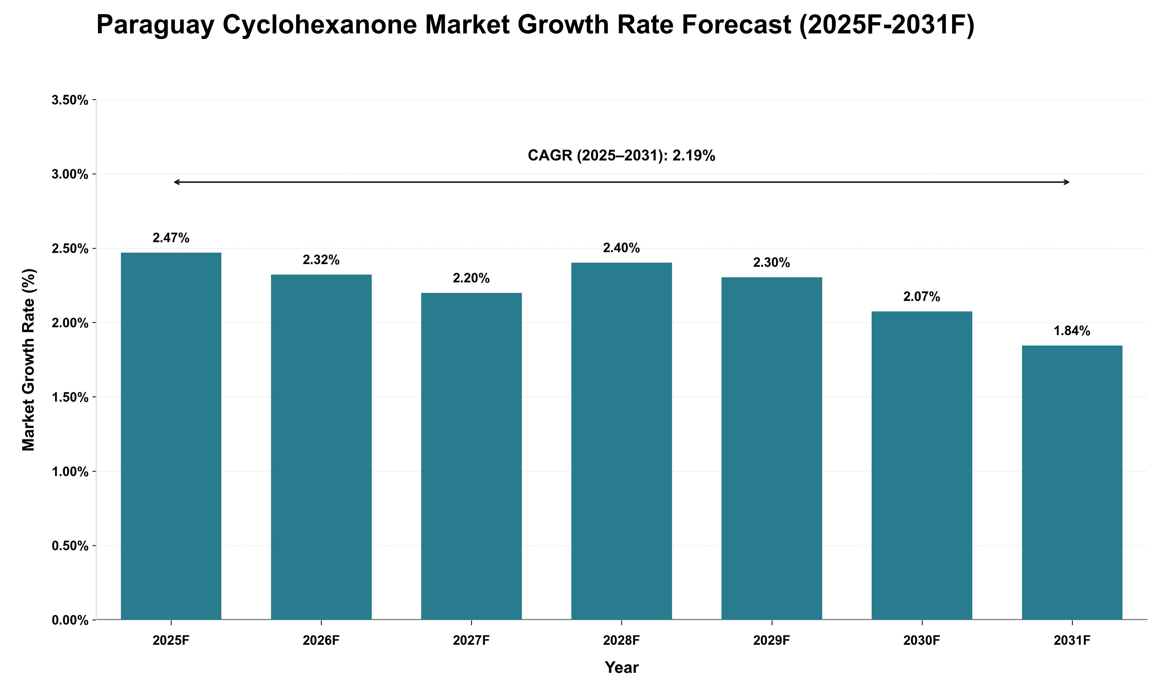 Paraguay Cyclohexanone Market Growth Rate Analysis (2025 - 2031)