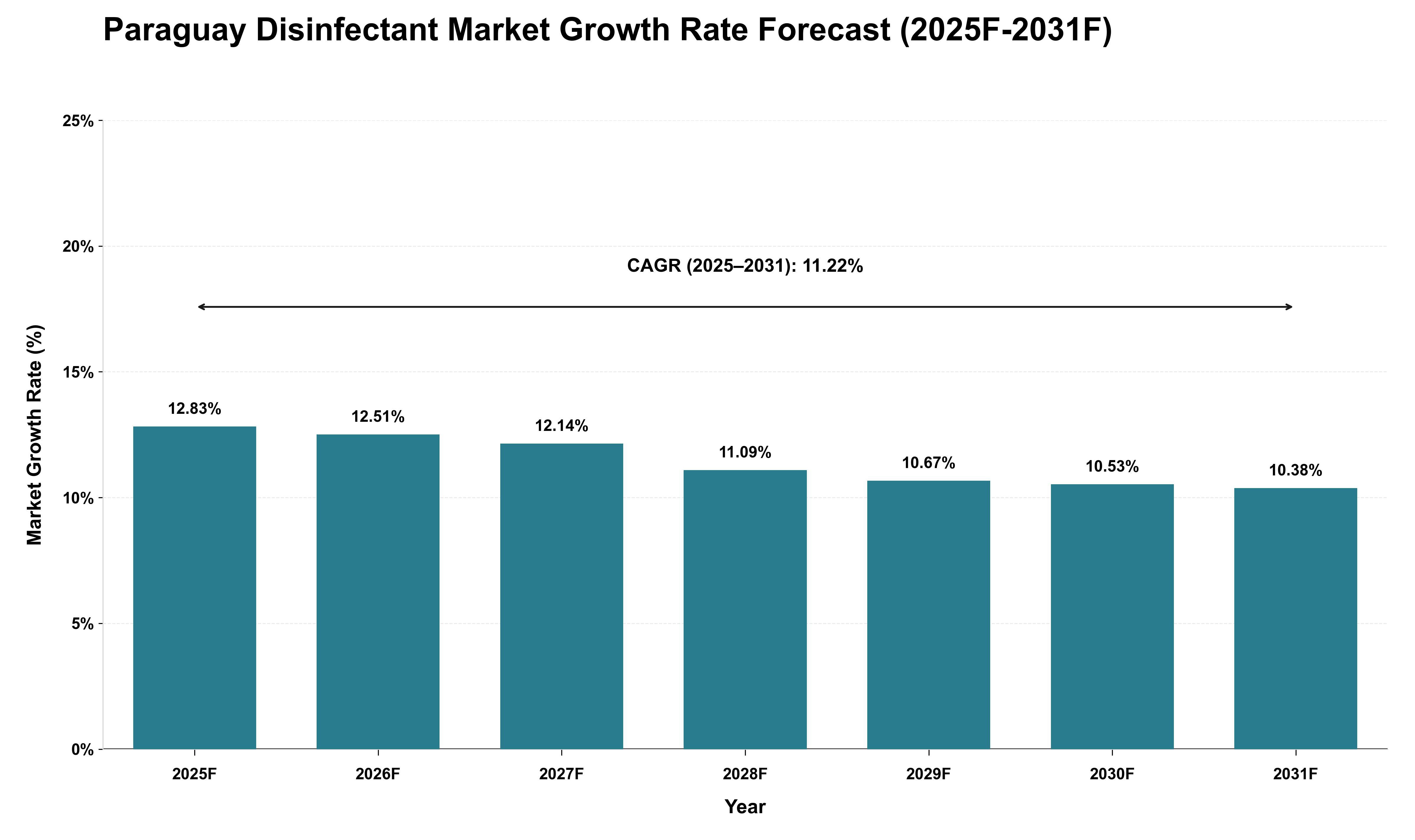 Paraguay Disinfectant Market Growth Rate Analysis (2025 - 2031)