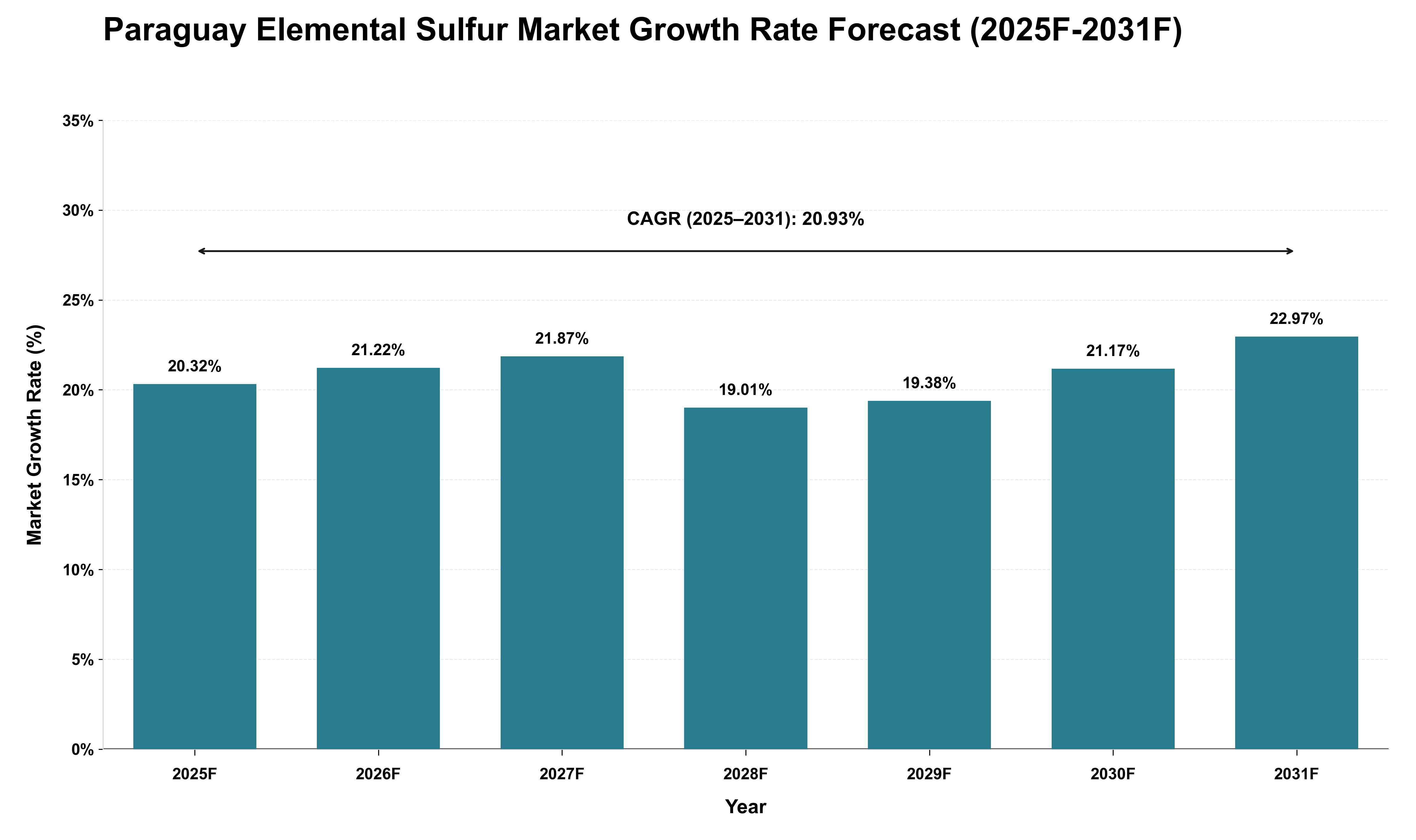 Paraguay Elemental Sulfur Market Growth Rate Analysis (2025 - 2031)