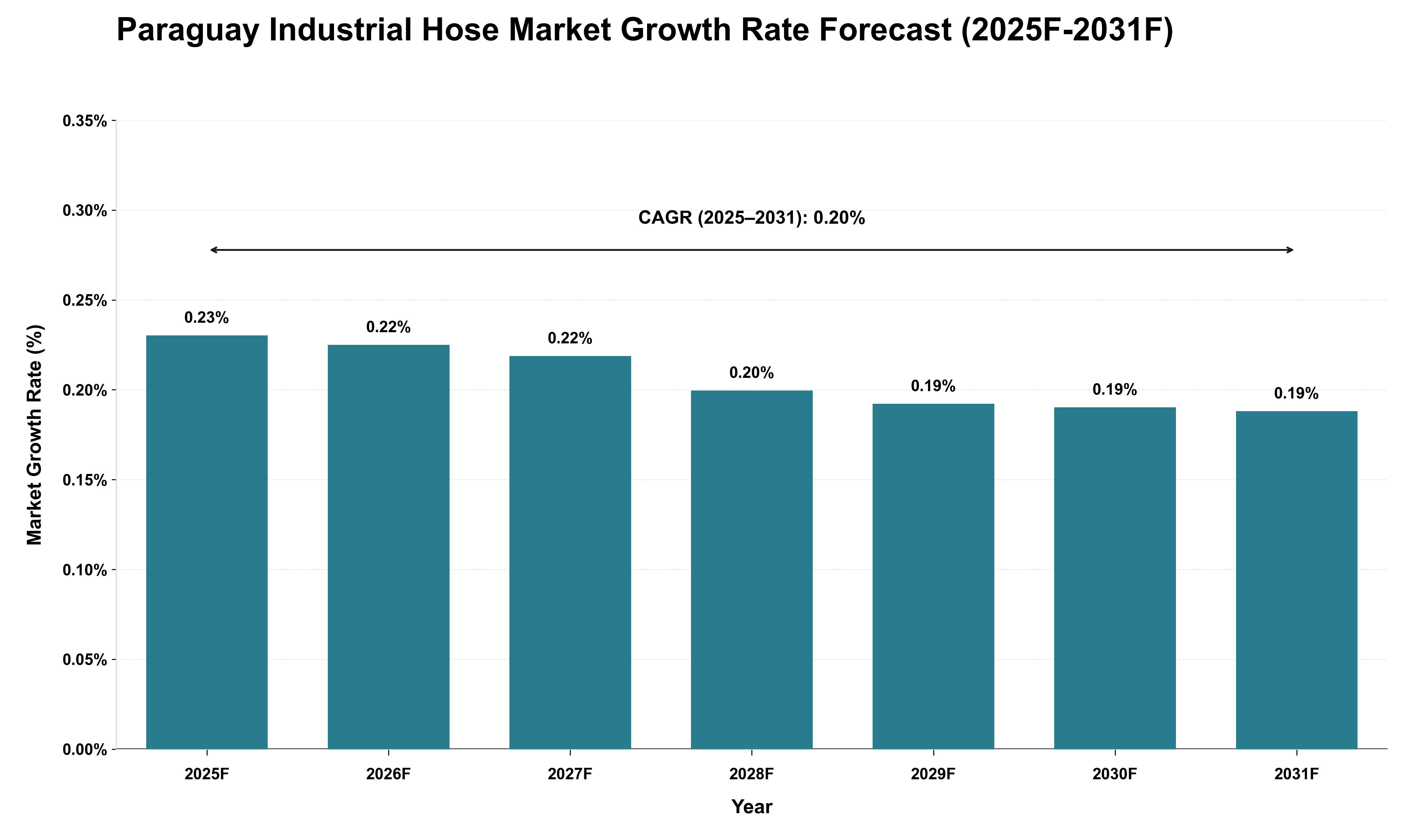 Paraguay Industrial Hose Market Growth Rate Analysis (2025 - 2031)