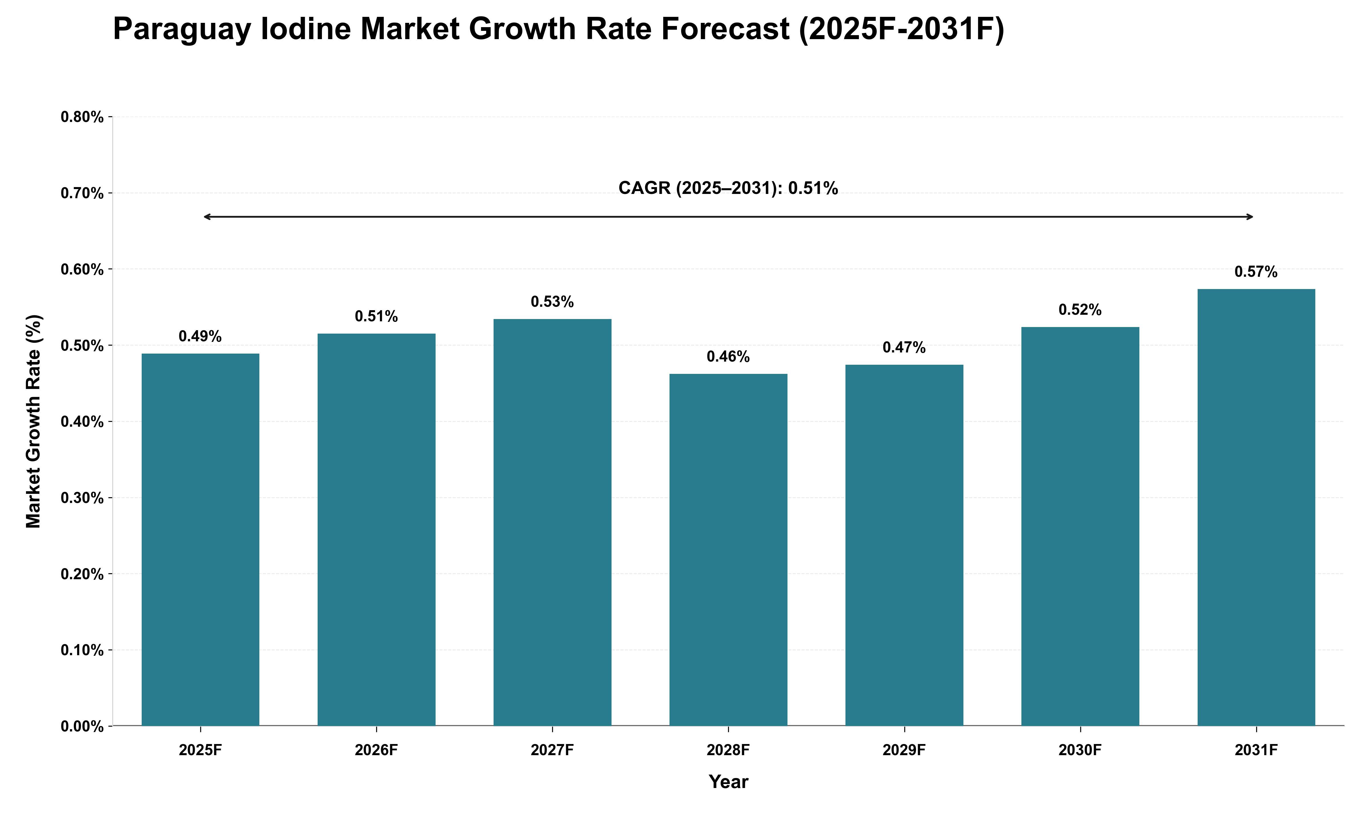 Paraguay Iodine Market Growth Rate Analysis (2025 - 2031)