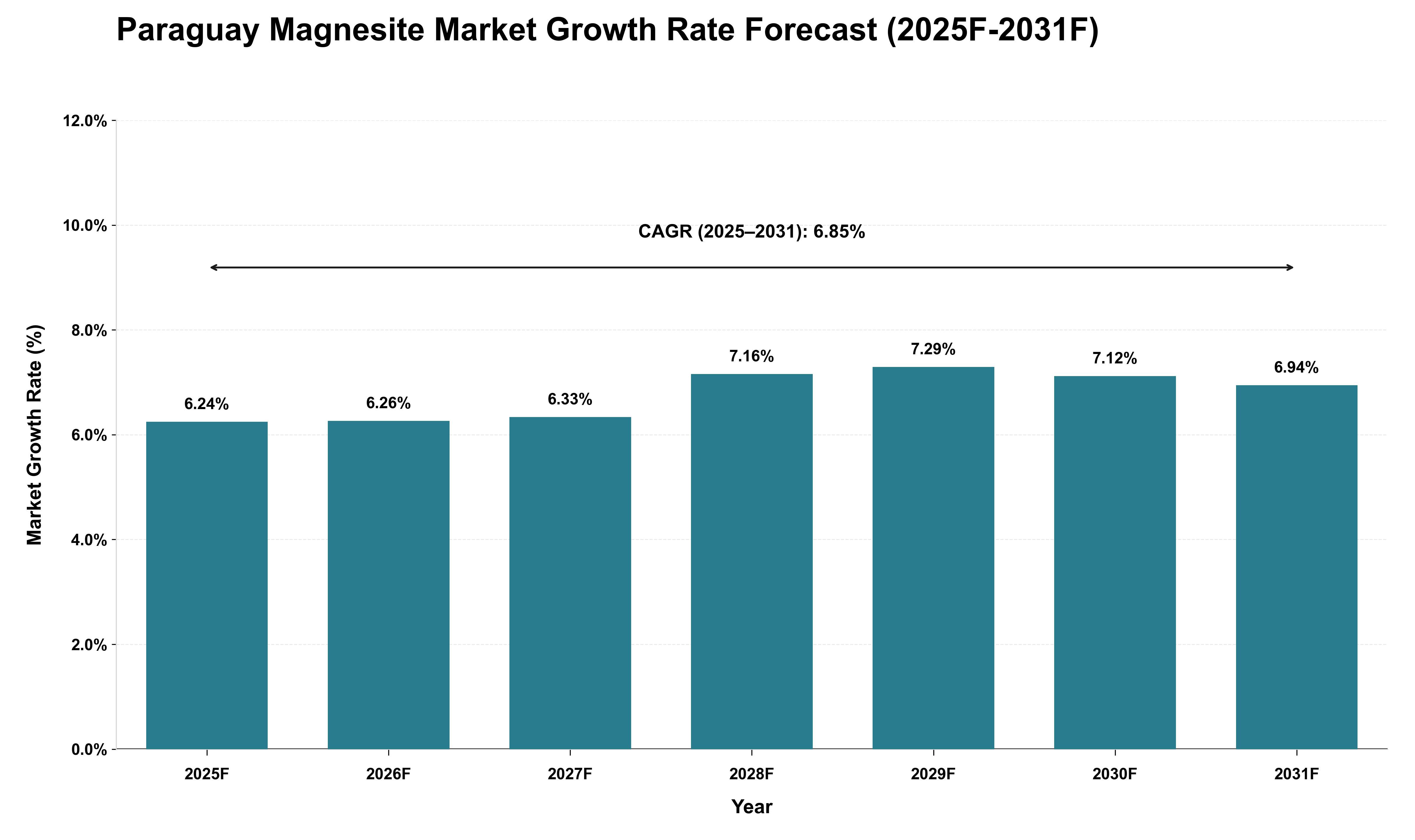Paraguay Magnesite Market Growth Rate Analysis (2025 - 2031)