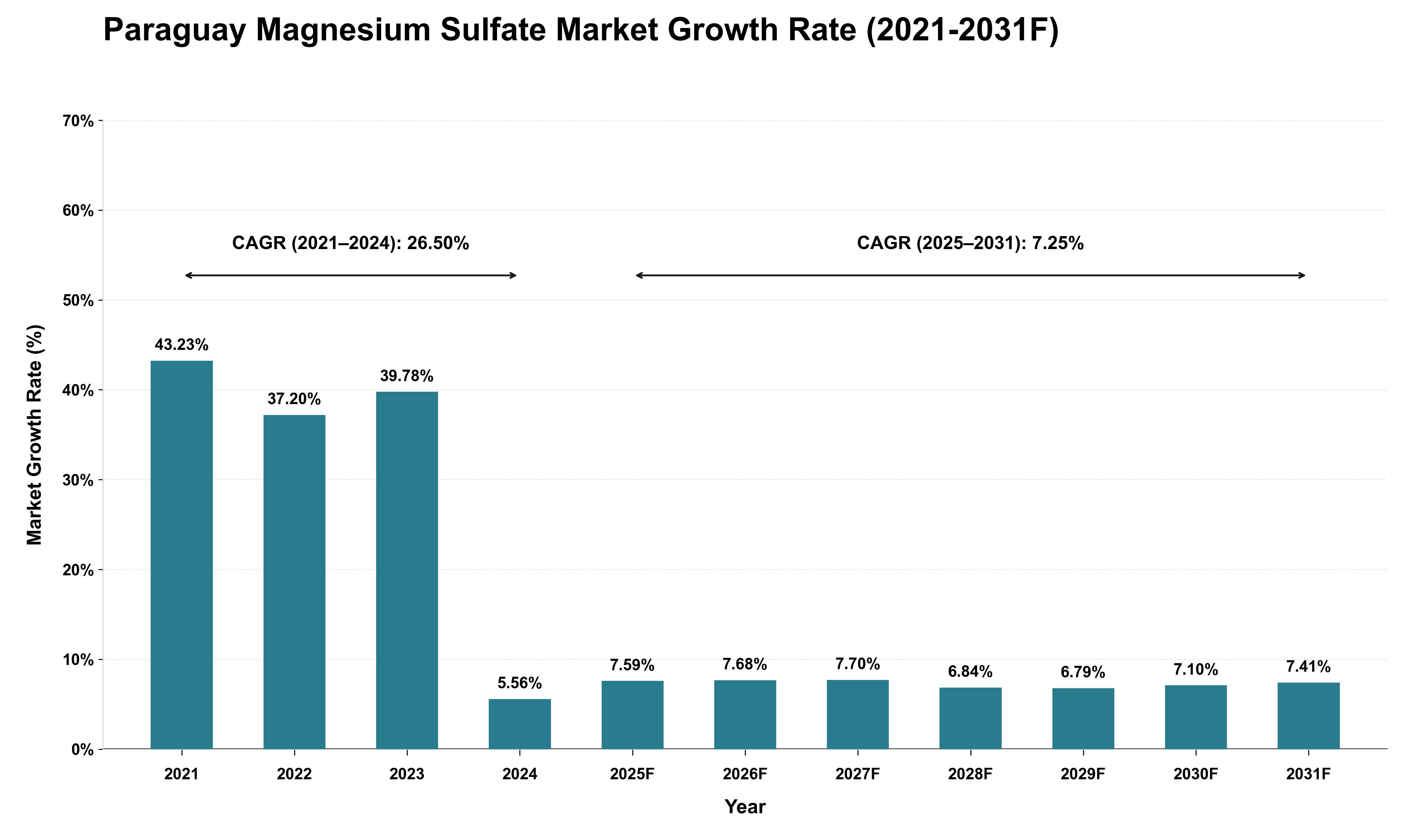 Paraguay Magnesium Sulfate Market Growth Rate Analysis (2021 - 2031)