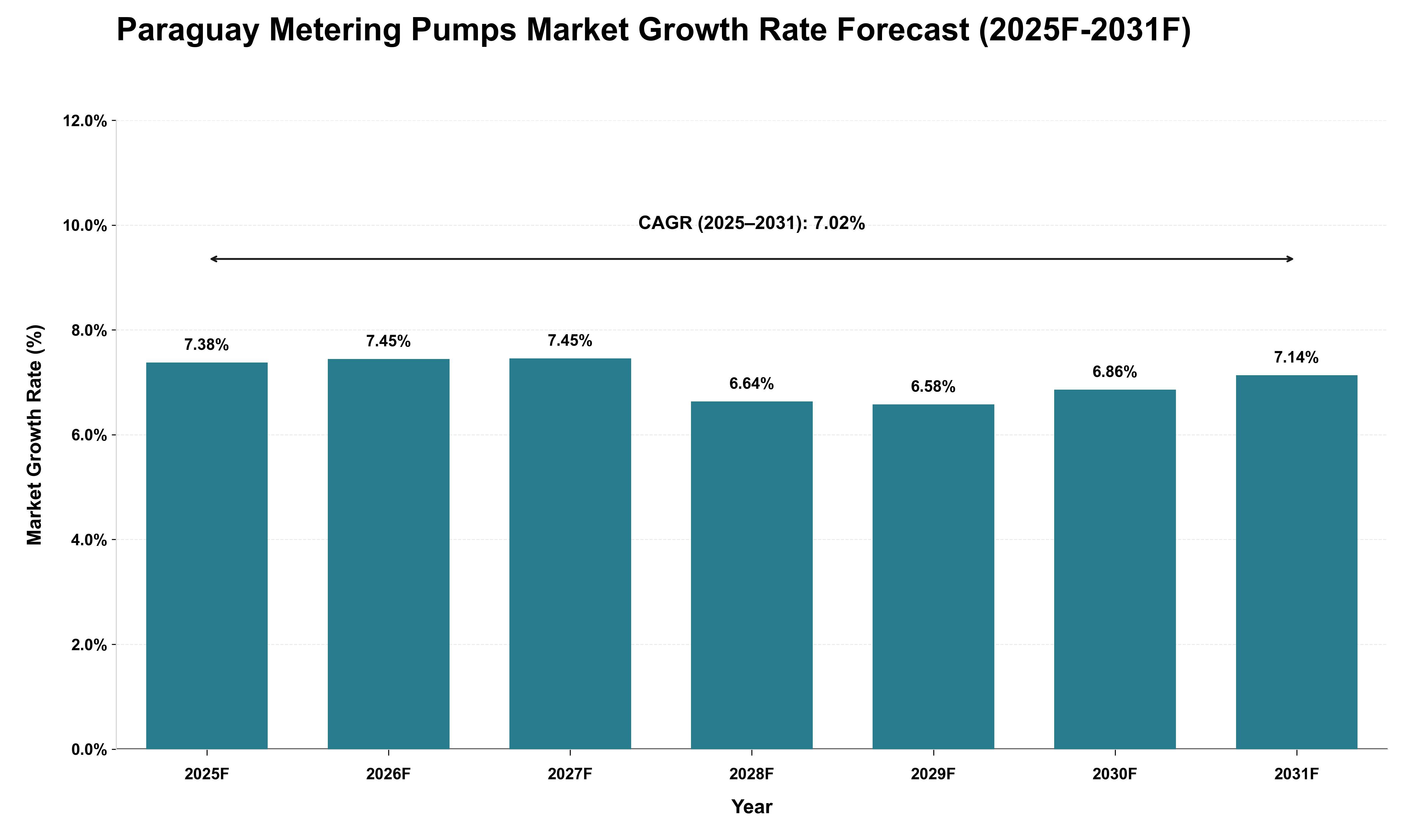 Paraguay Metering Pumps Market Growth Rate Analysis (2025 - 2031)
