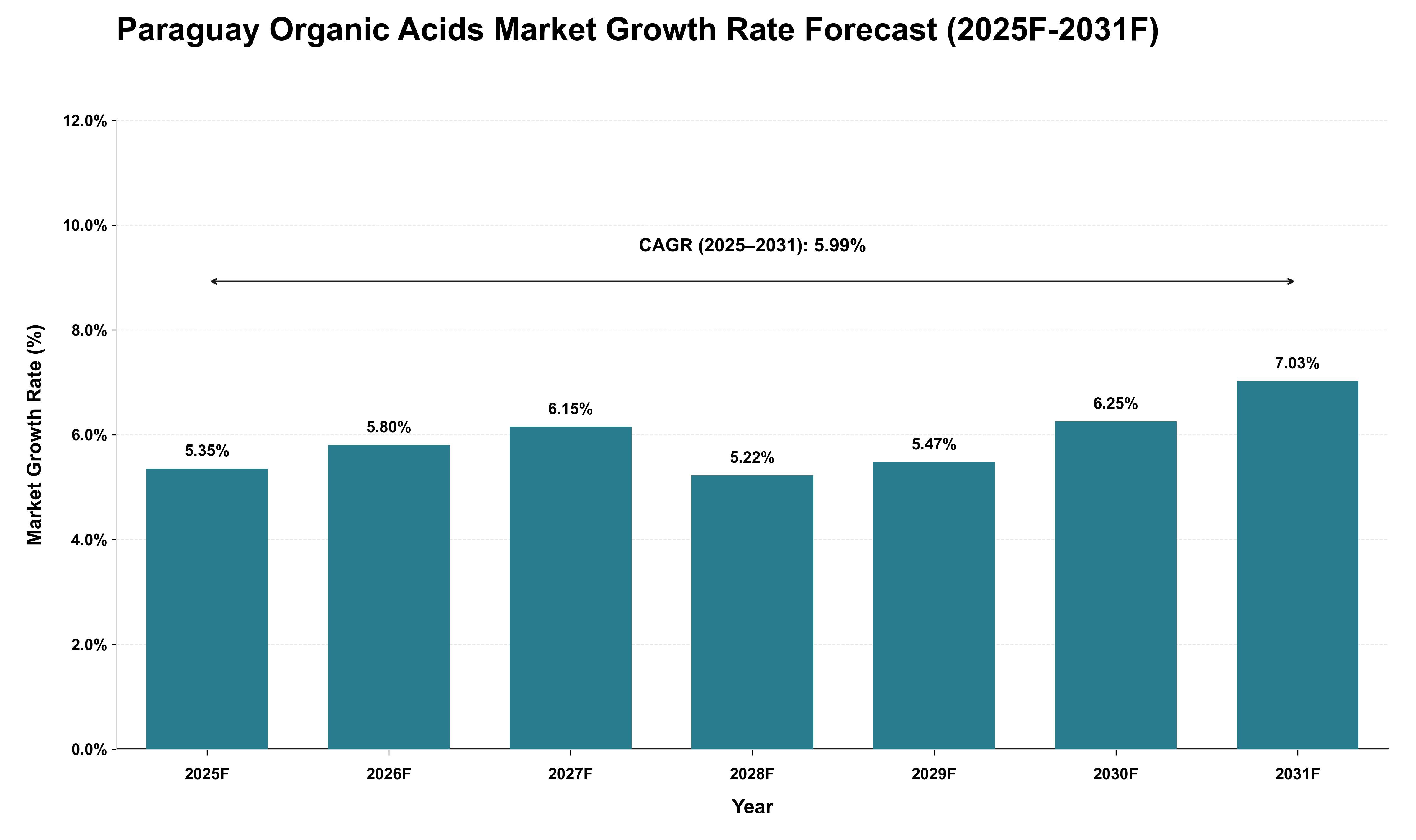 Paraguay Organic Acids Market Growth Rate Analysis (2025 - 2031)