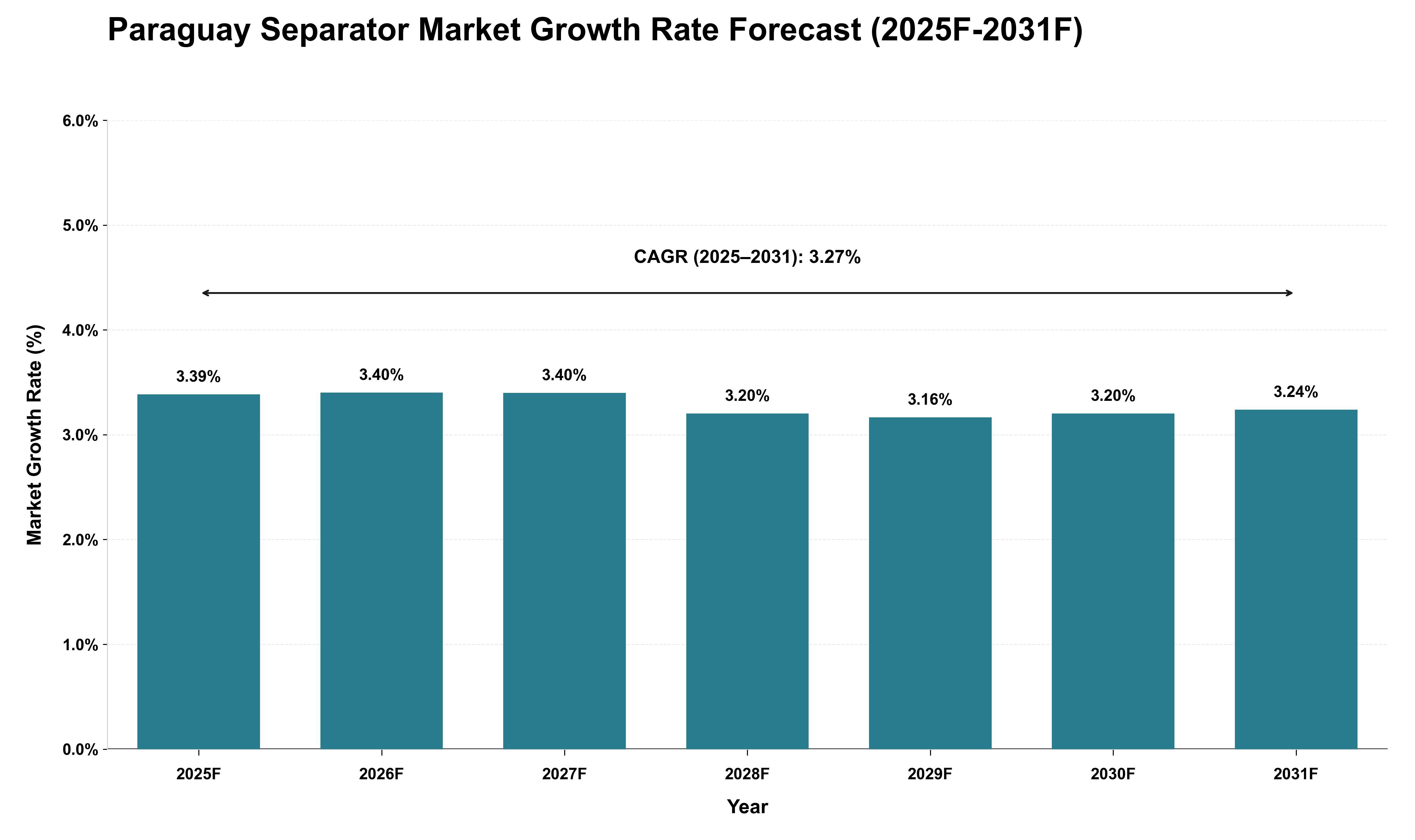 Paraguay Separator Market Growth Rate Analysis (2025 - 2031)