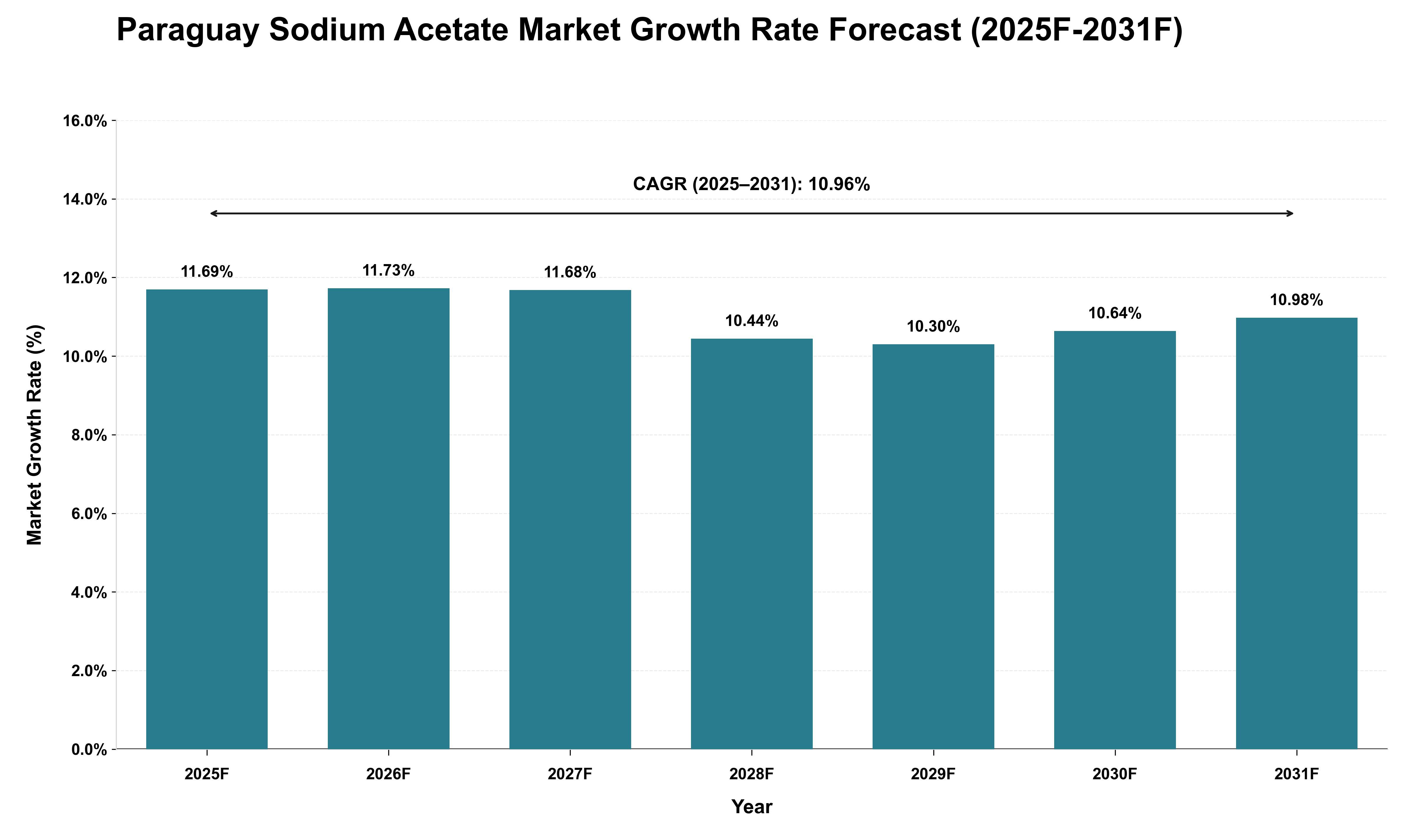 Paraguay Sodium Acetate Market Growth Rate Analysis (2025 - 2031)