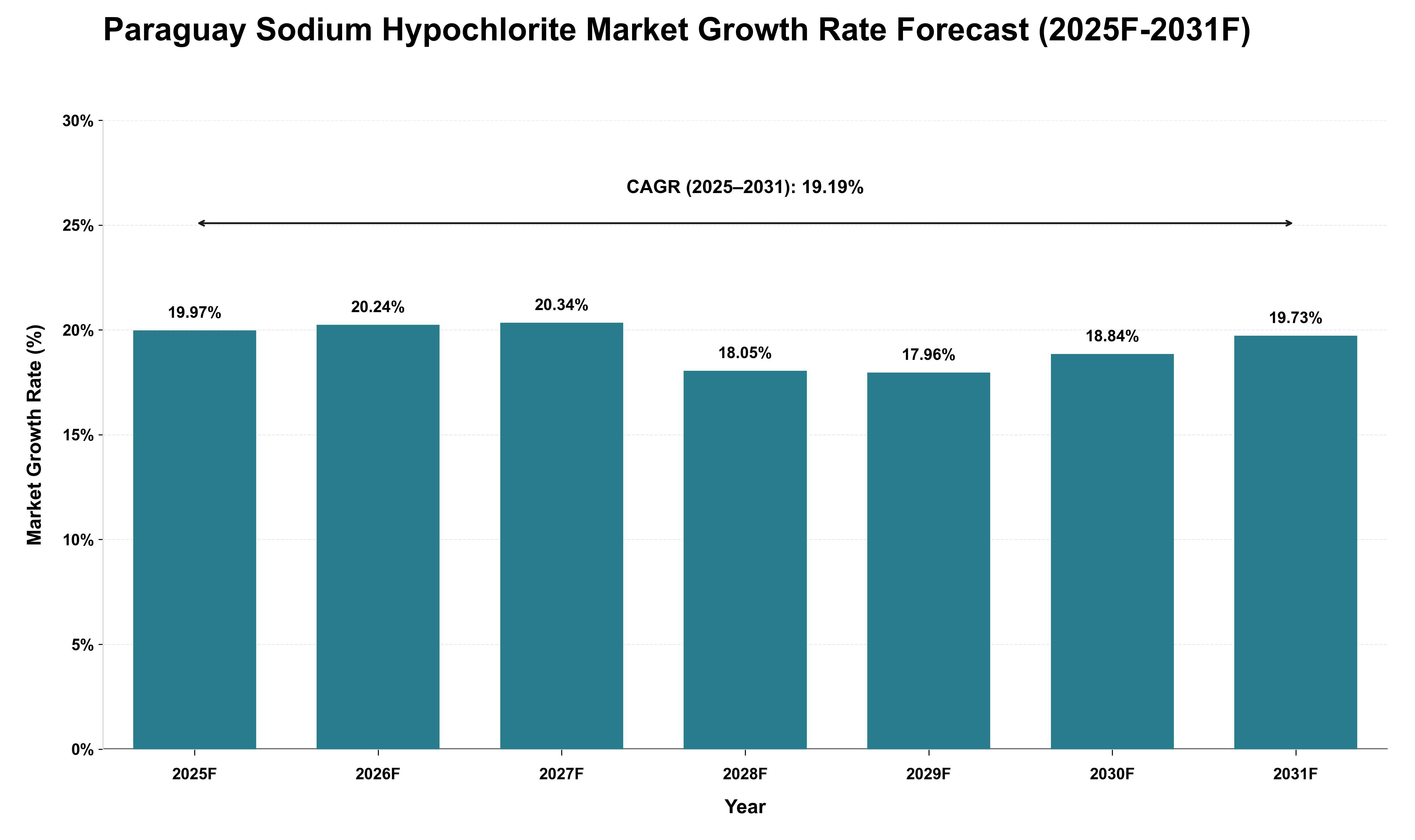 Paraguay Sodium Hypochlorite Market Growth Rate Analysis (2025 - 2031)