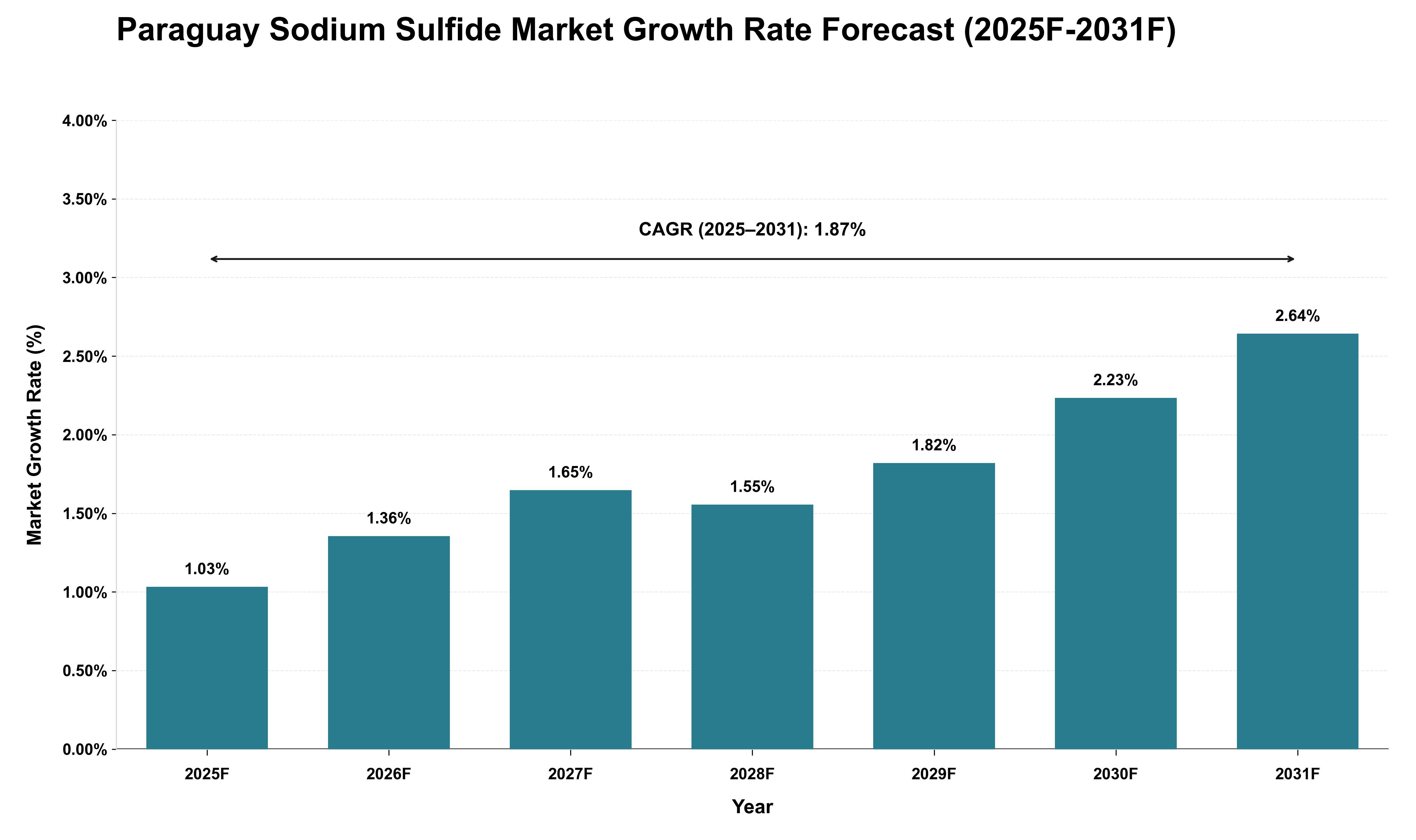 Paraguay Sodium Sulfide Market Growth Rate Analysis (2025 - 2031)