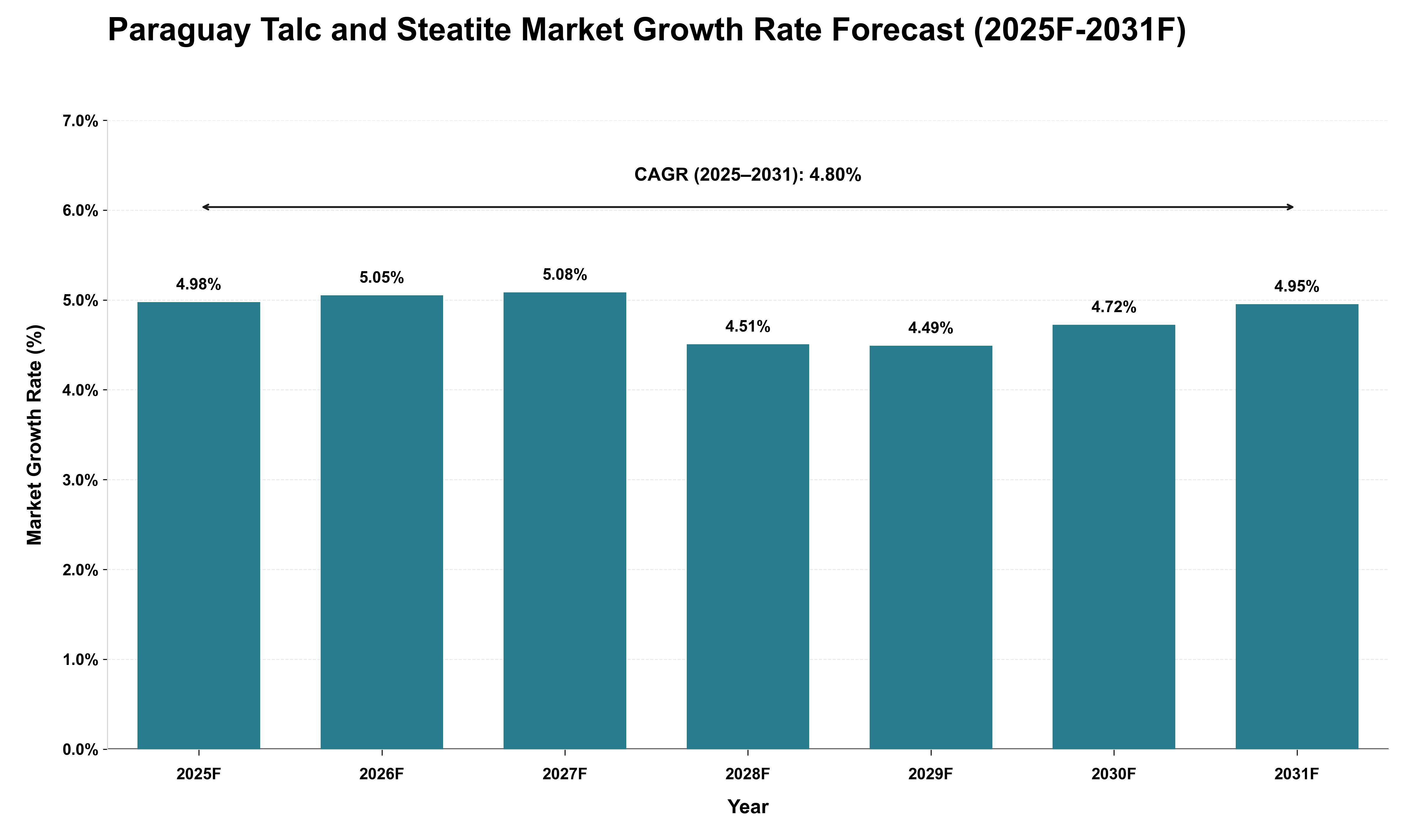 Paraguay Talc and Steatite Market Growth Rate Analysis (2025 - 2031)
