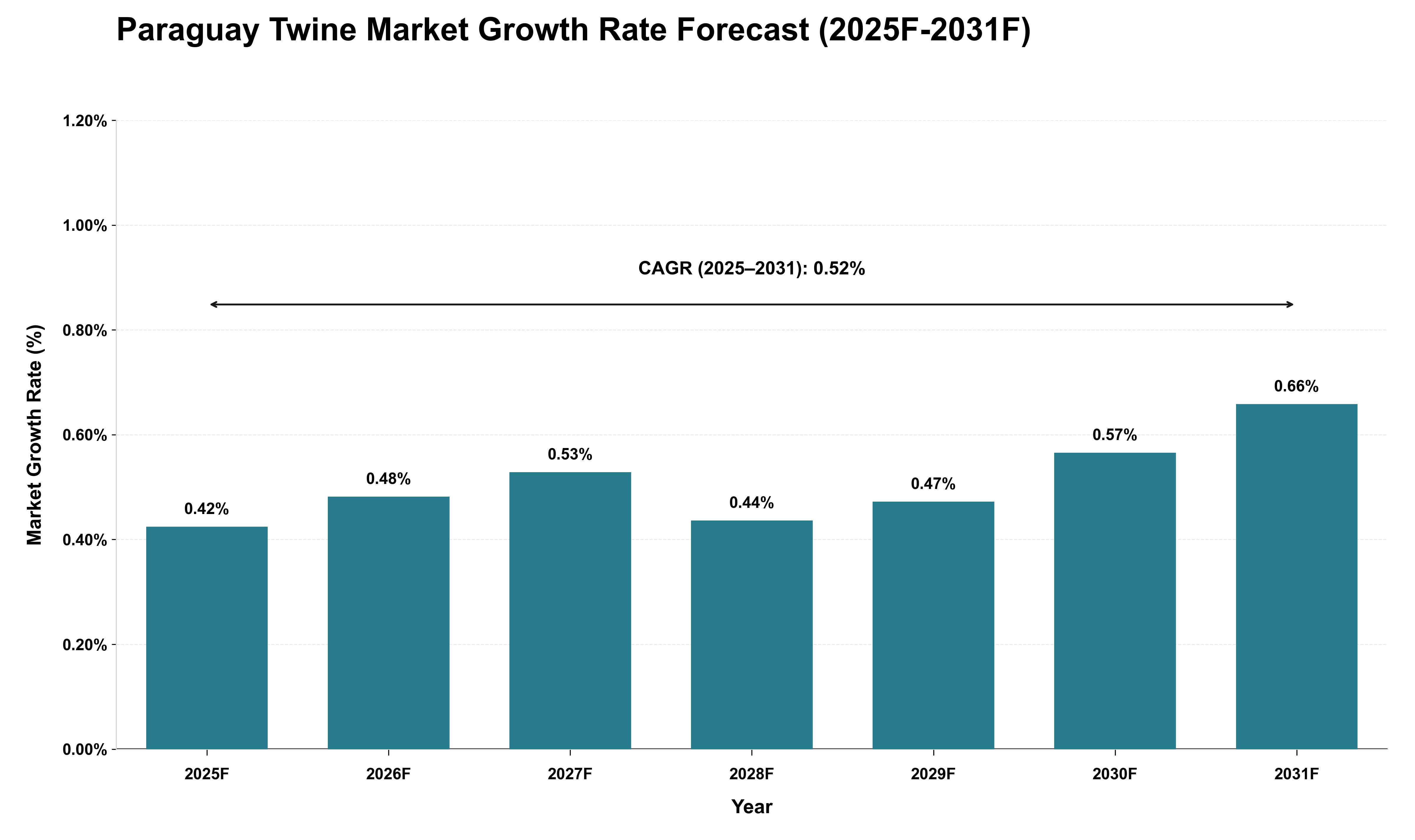 Paraguay Twine Market Growth Rate Analysis (2025 - 2031)