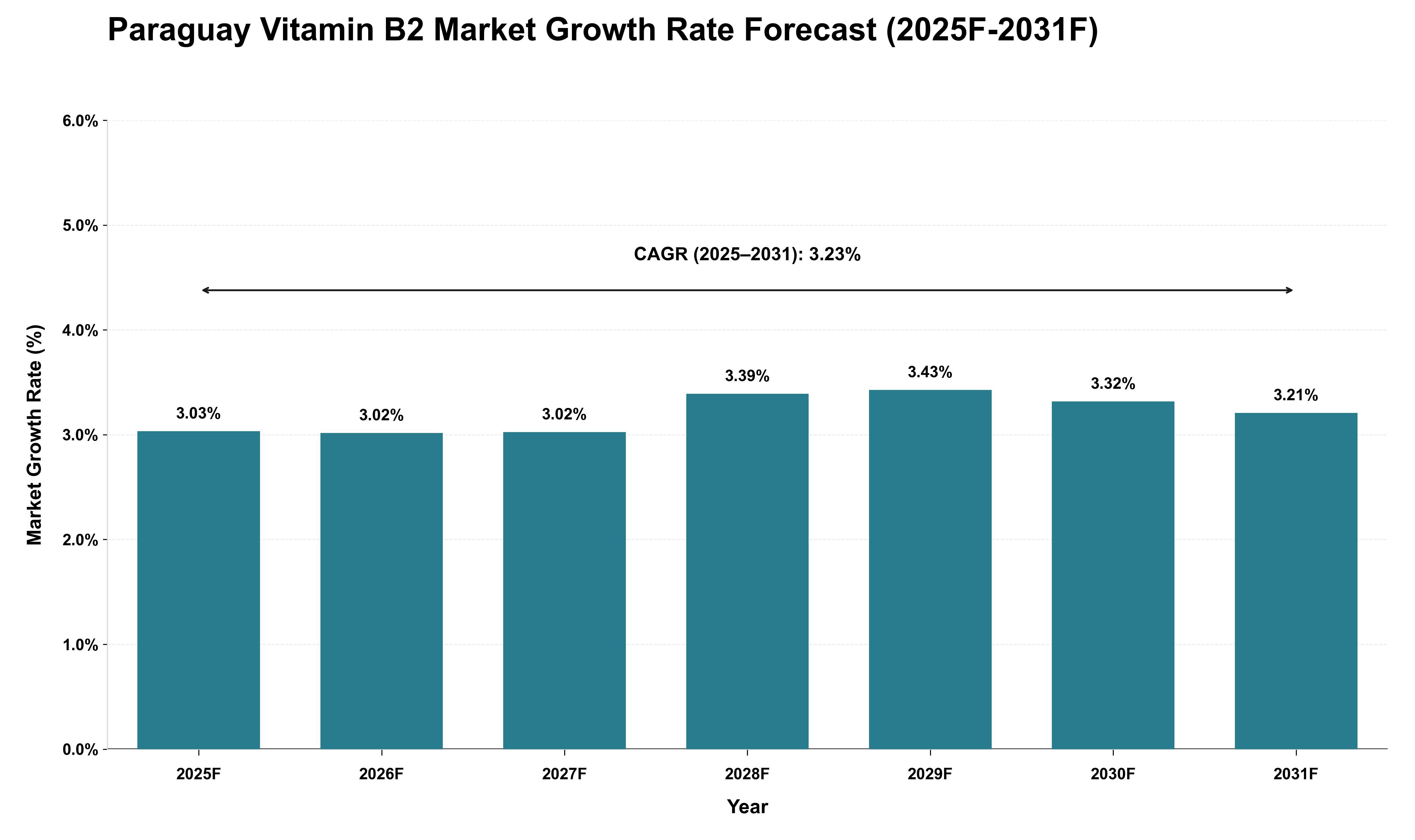 Paraguay Vitamin B2 Market Growth Rate Analysis (2025 - 2031)