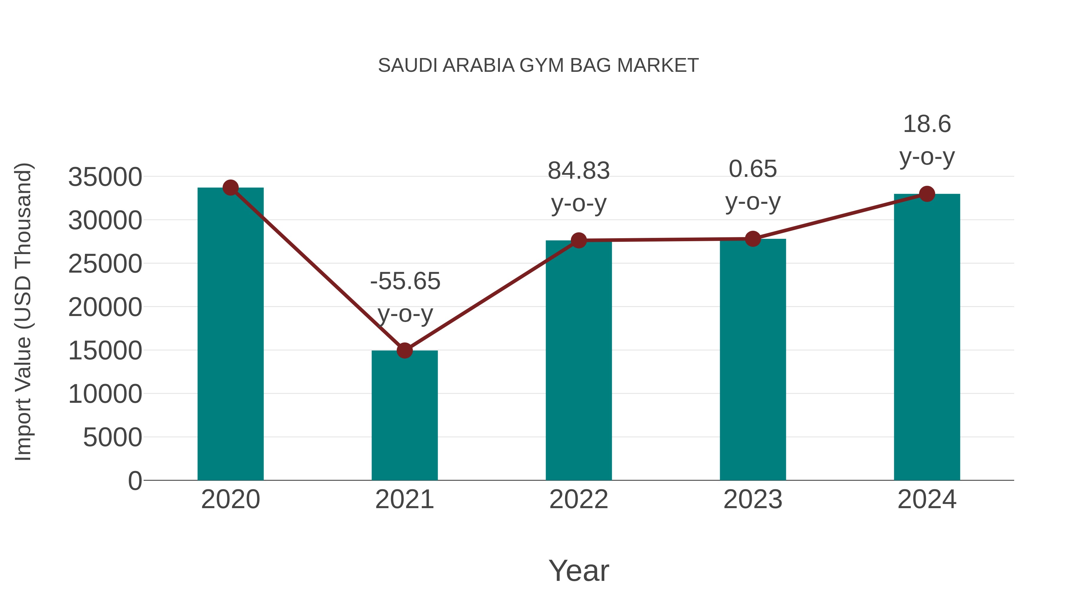  Saudi Arabia Gym Bag Market: Import Trend Analysis