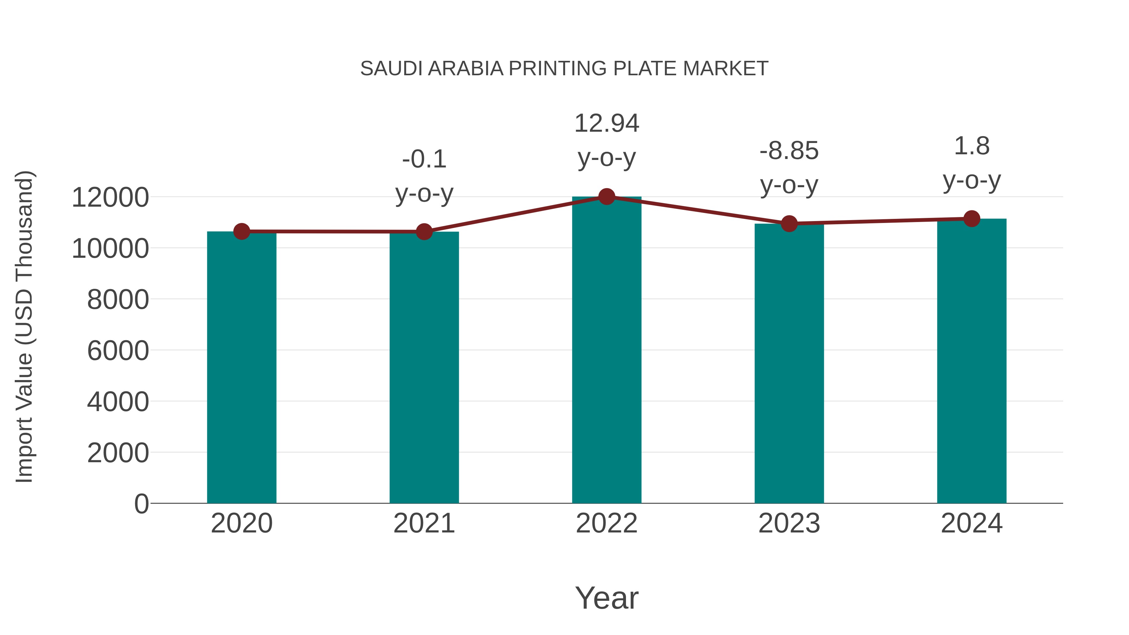  Saudi Arabia Printing Plate Market: Import Trend Analysis