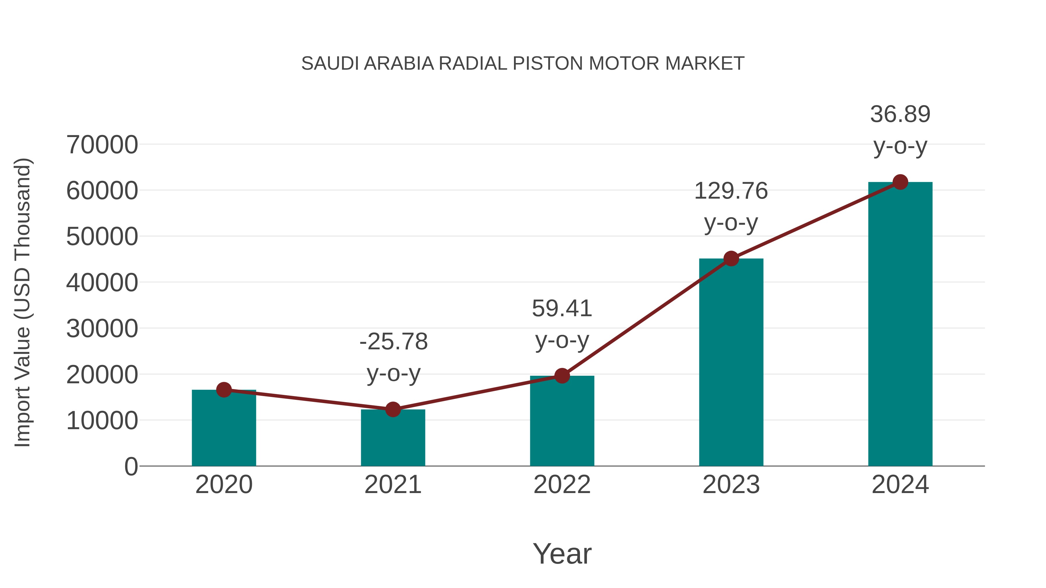  Saudi Arabia Radial Piston Motor Market: Import Trend Analysis