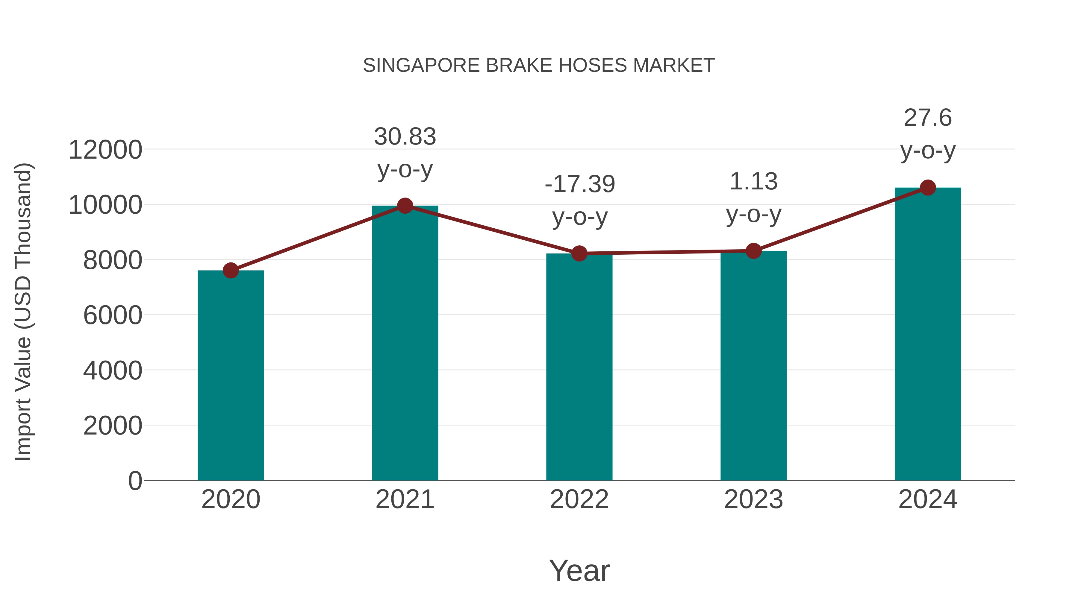  Singapore Brake Hoses Market: Import Trend Analysis