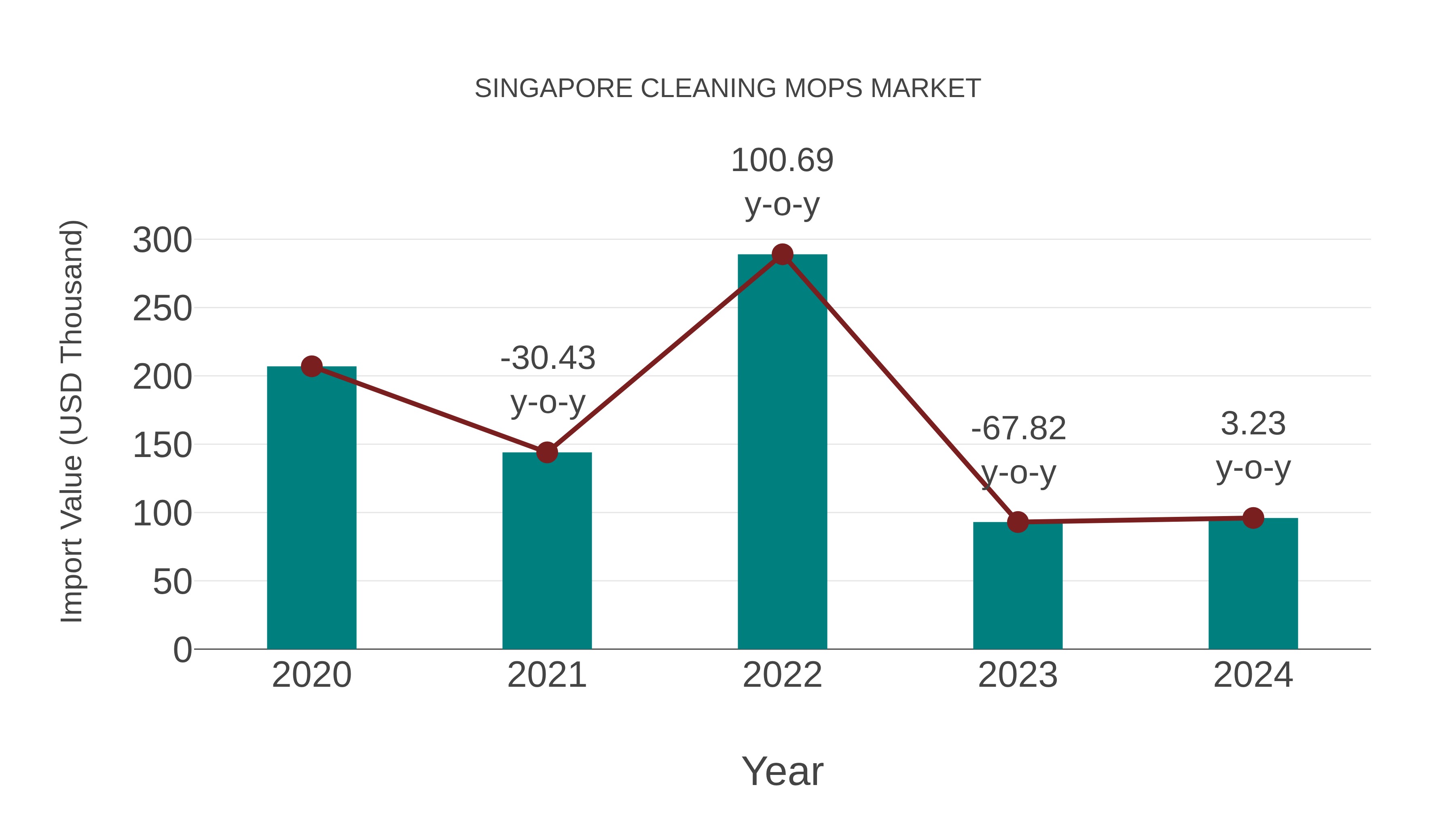  Singapore Cleaning Mops Market: Import Trend Analysis
