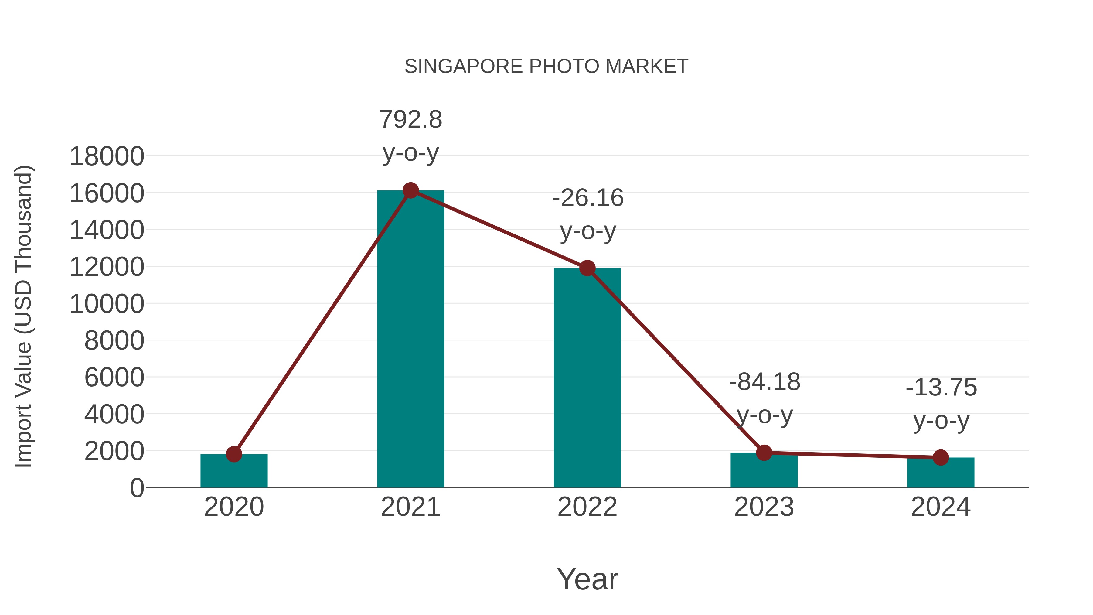 Singapore Photo Market: Import Trend Analysis