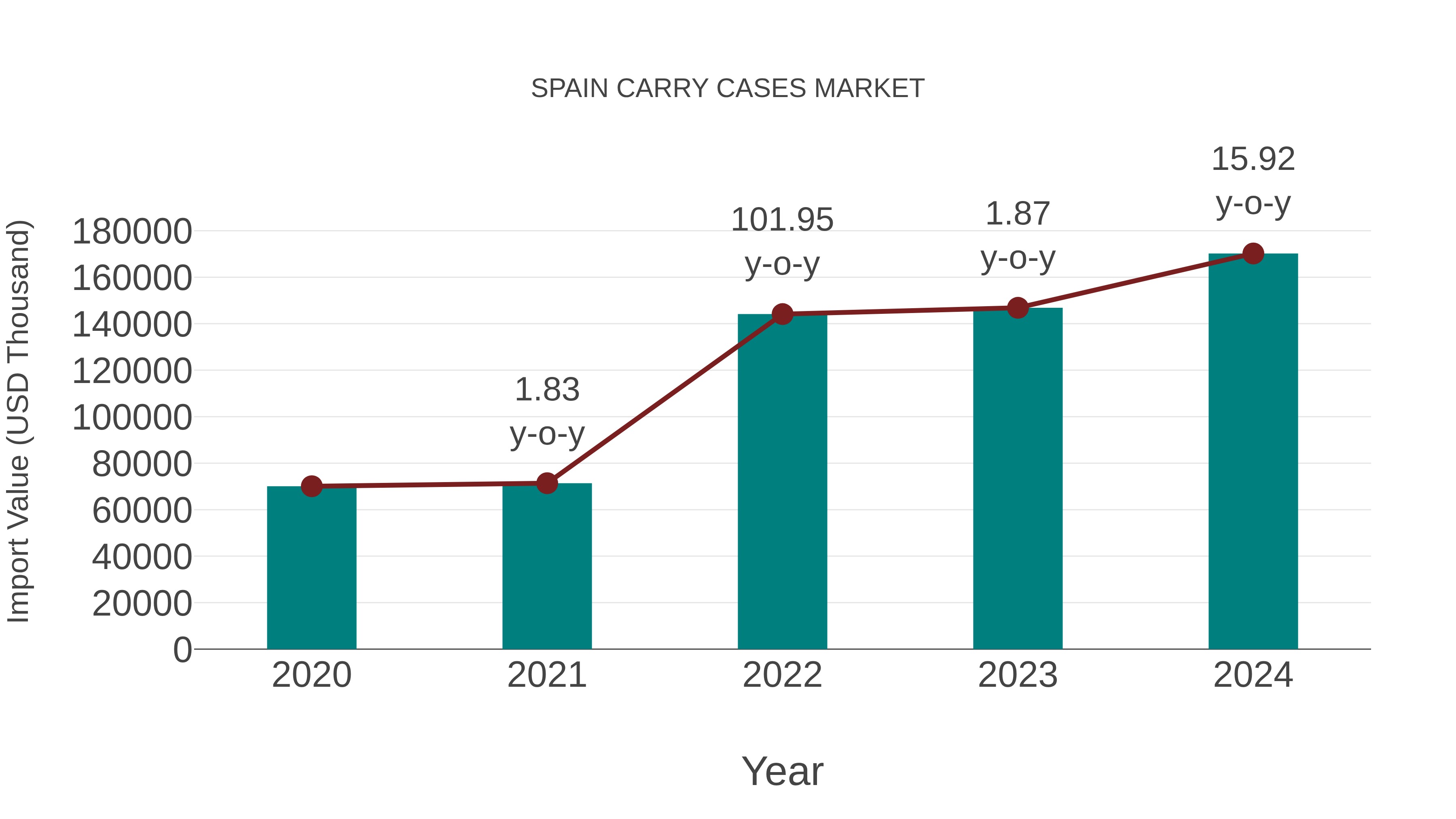  Spain Carry Cases Market: Import Trend Analysis