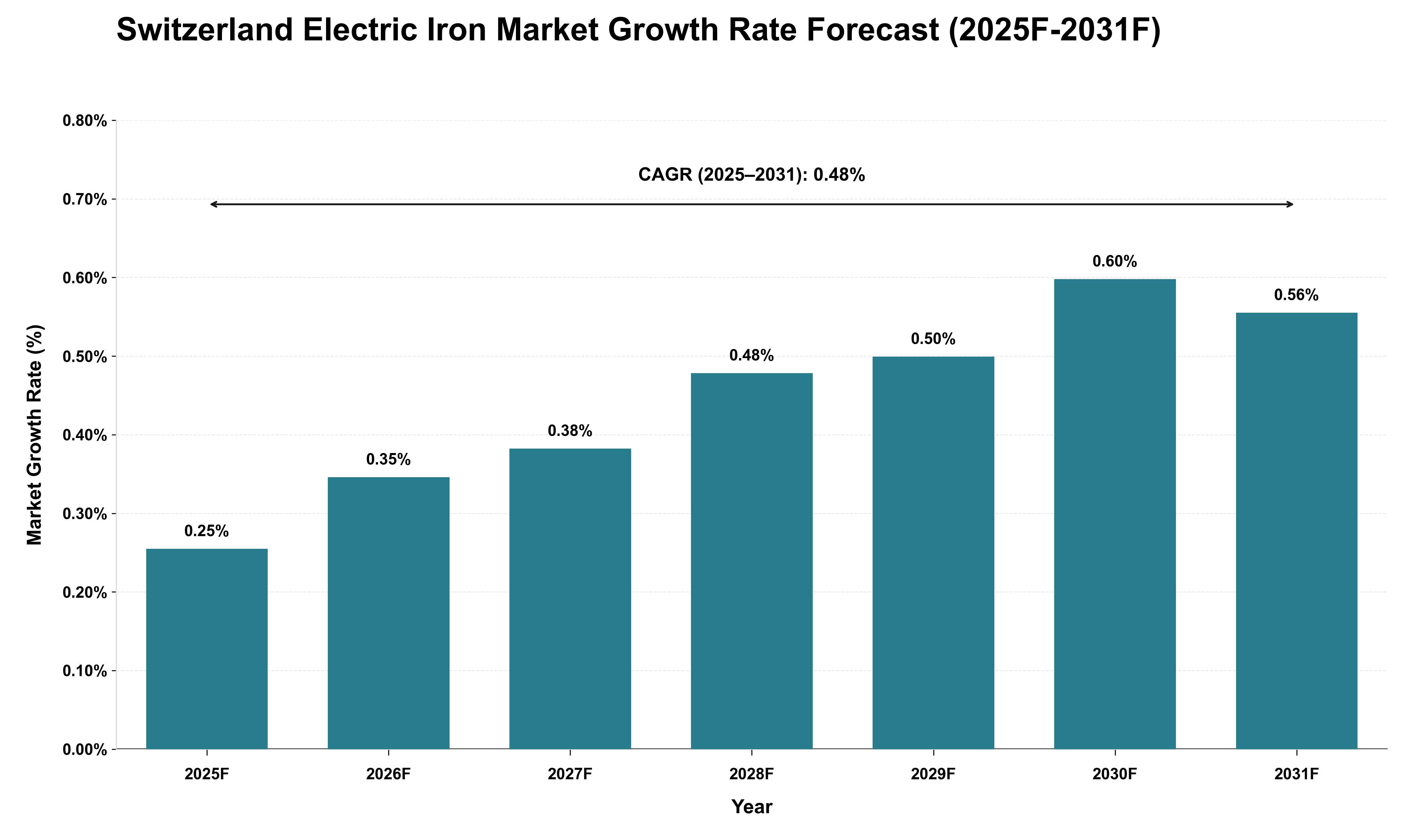 Switzerland Electric Iron Market Growth Rate Analysis (2025 - 2031)