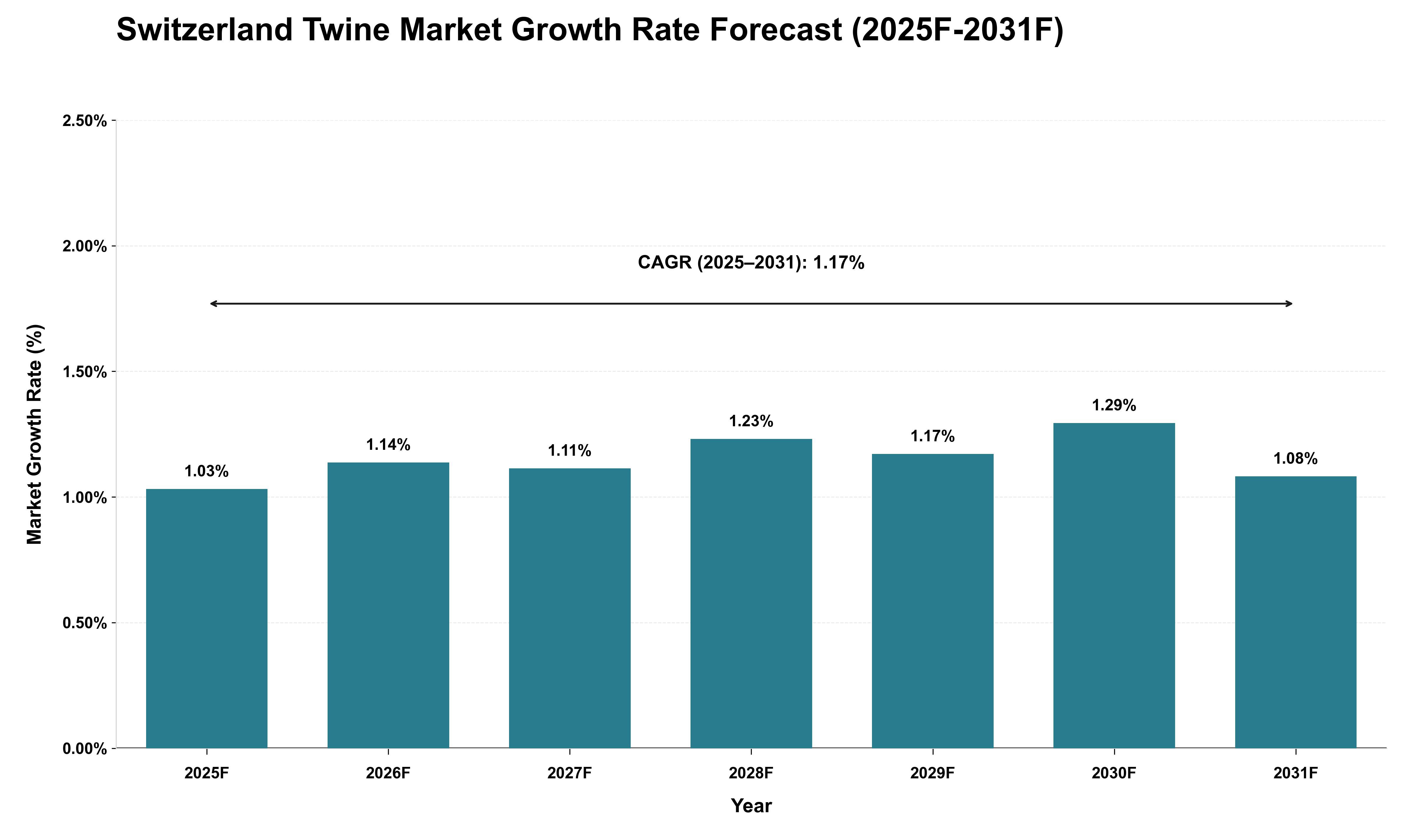 Switzerland Twine Market Growth Rate Analysis (2025 - 2031)