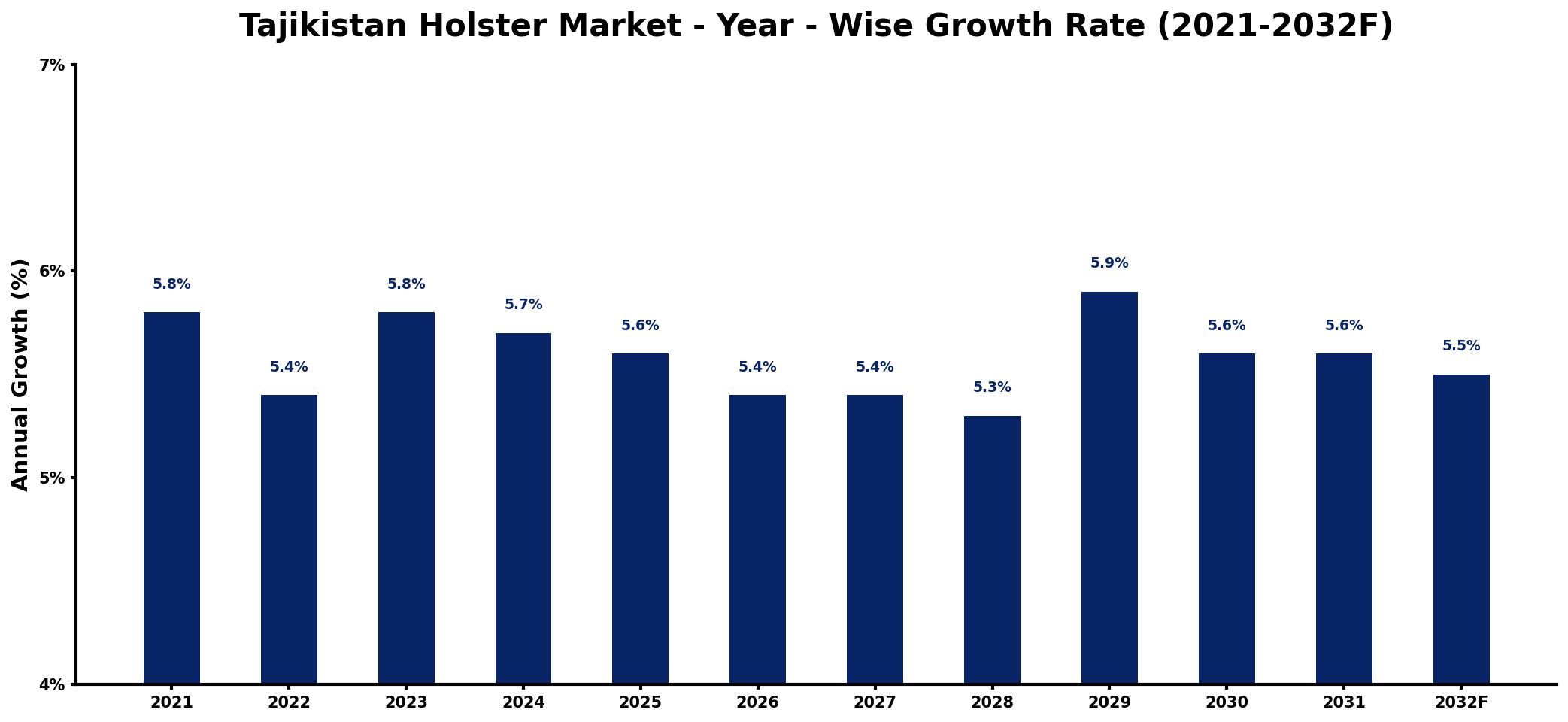 Tajikistan Holster Market Year-wise Growth Rate and Key Drivers