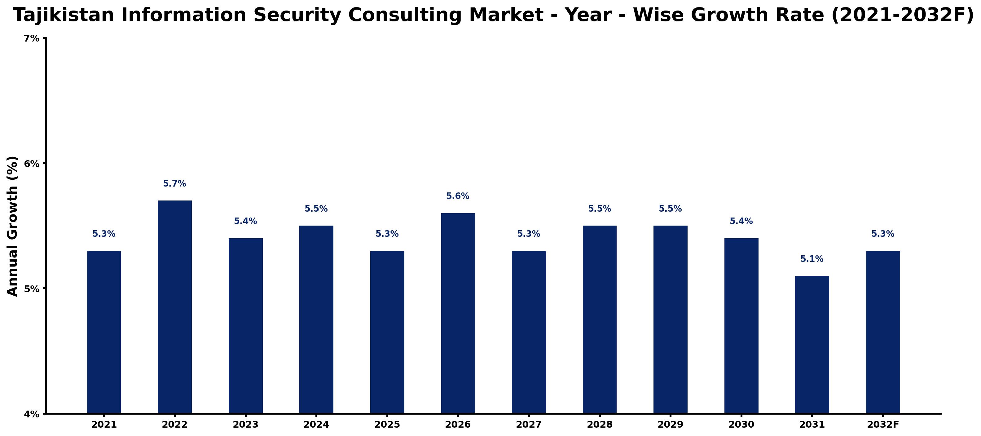 Tajikistan Information Security Consulting Market Year-wise Growth Rate and Key Drivers