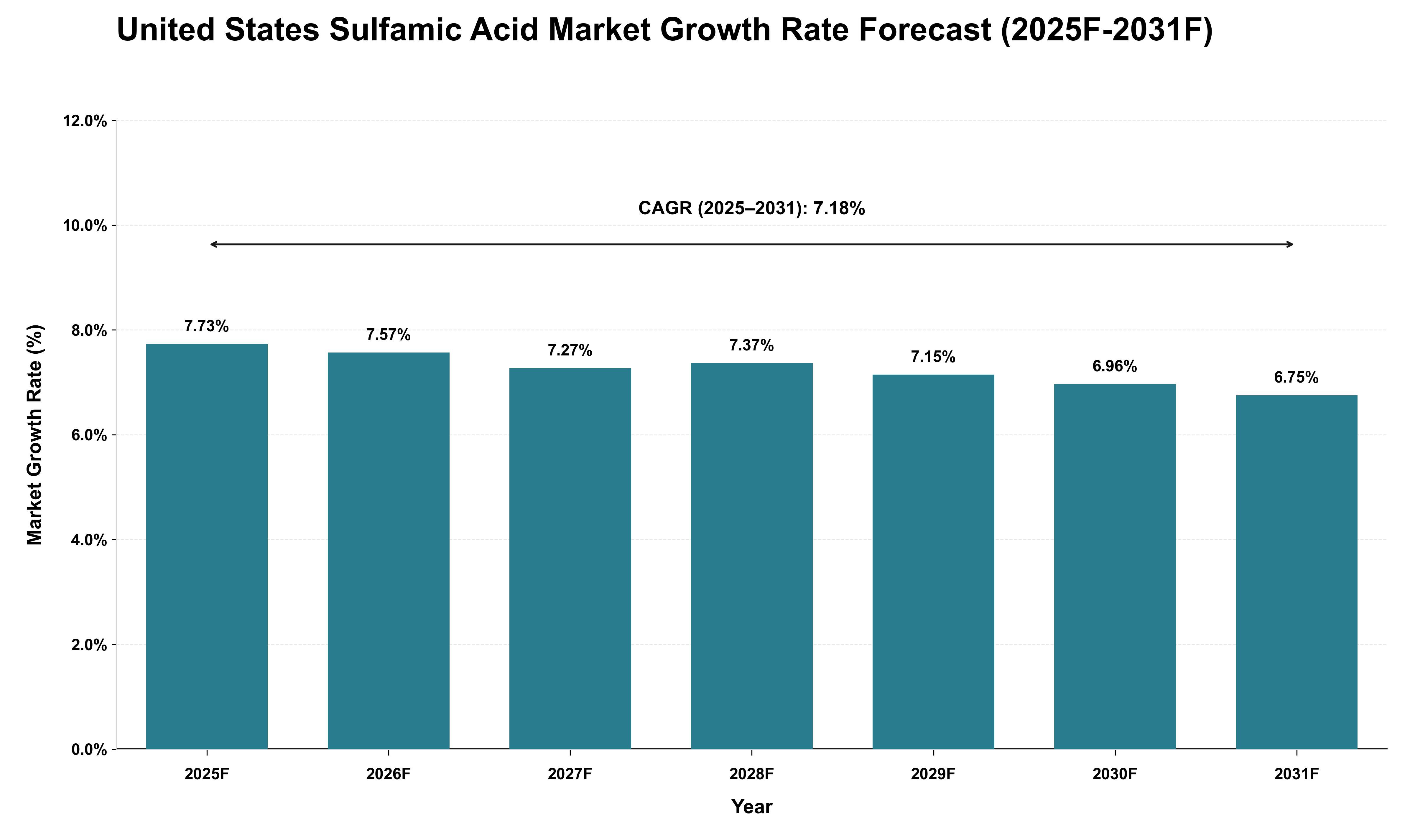 United States Sulfamic Acid Market Growth Rate Analysis (2025 - 2031)
