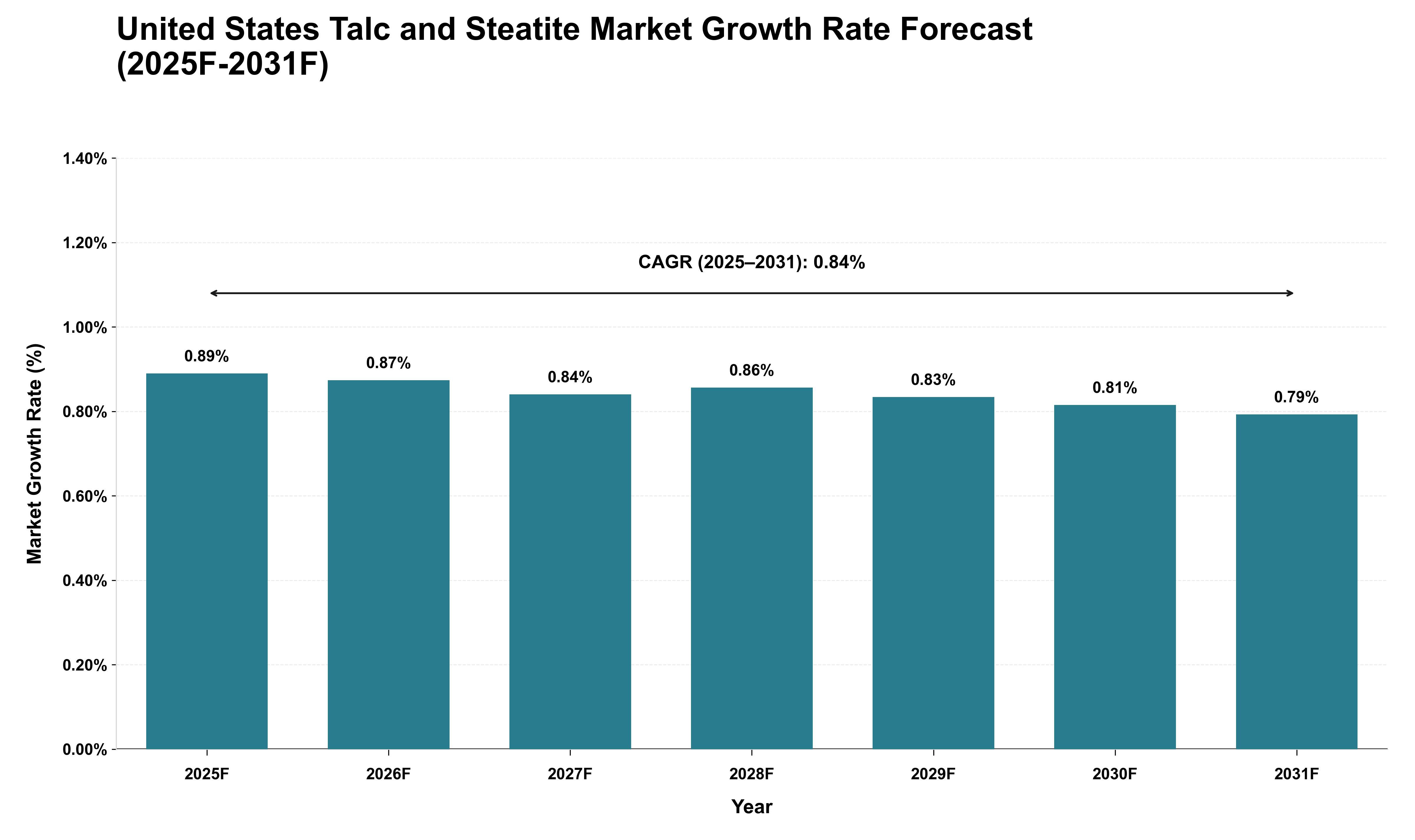 United States Talc and Steatite Market Growth Rate Analysis (2025 - 2031)